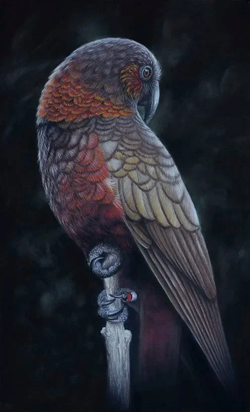 kaka-pastel-art.jpg