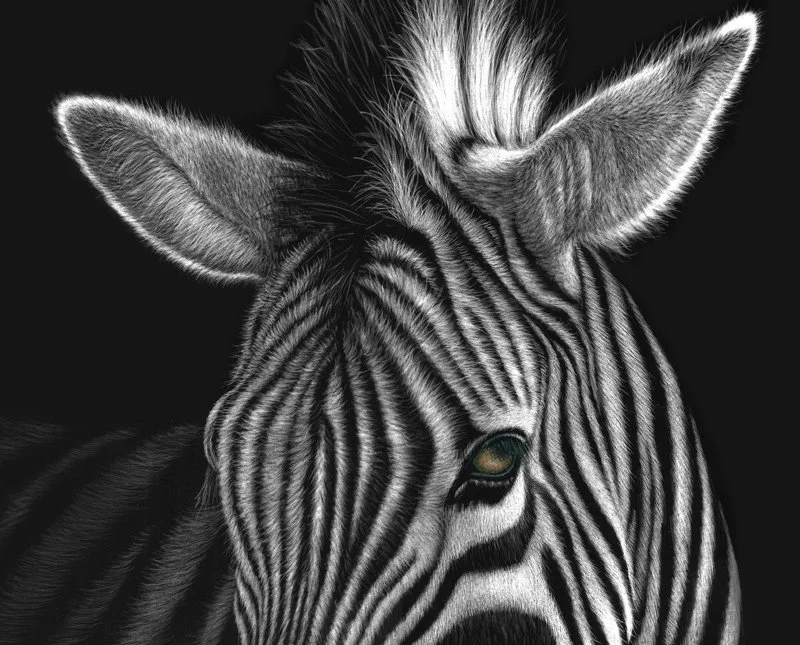 Nzuri_closeup.jpg
