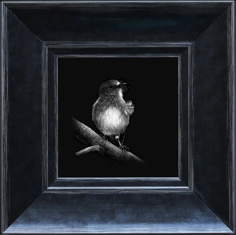 robin 1 - wide frame.jpg