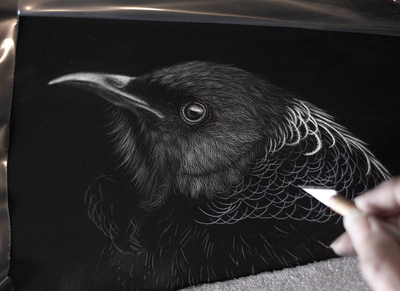 tui-where-art-thou-wip.jpg