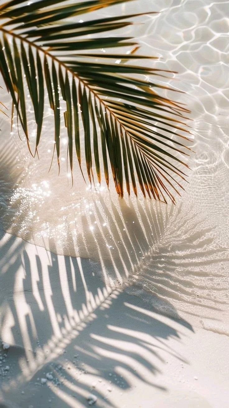 Close-up of a palm frond casting shadows on light-colored sandy beach and water.