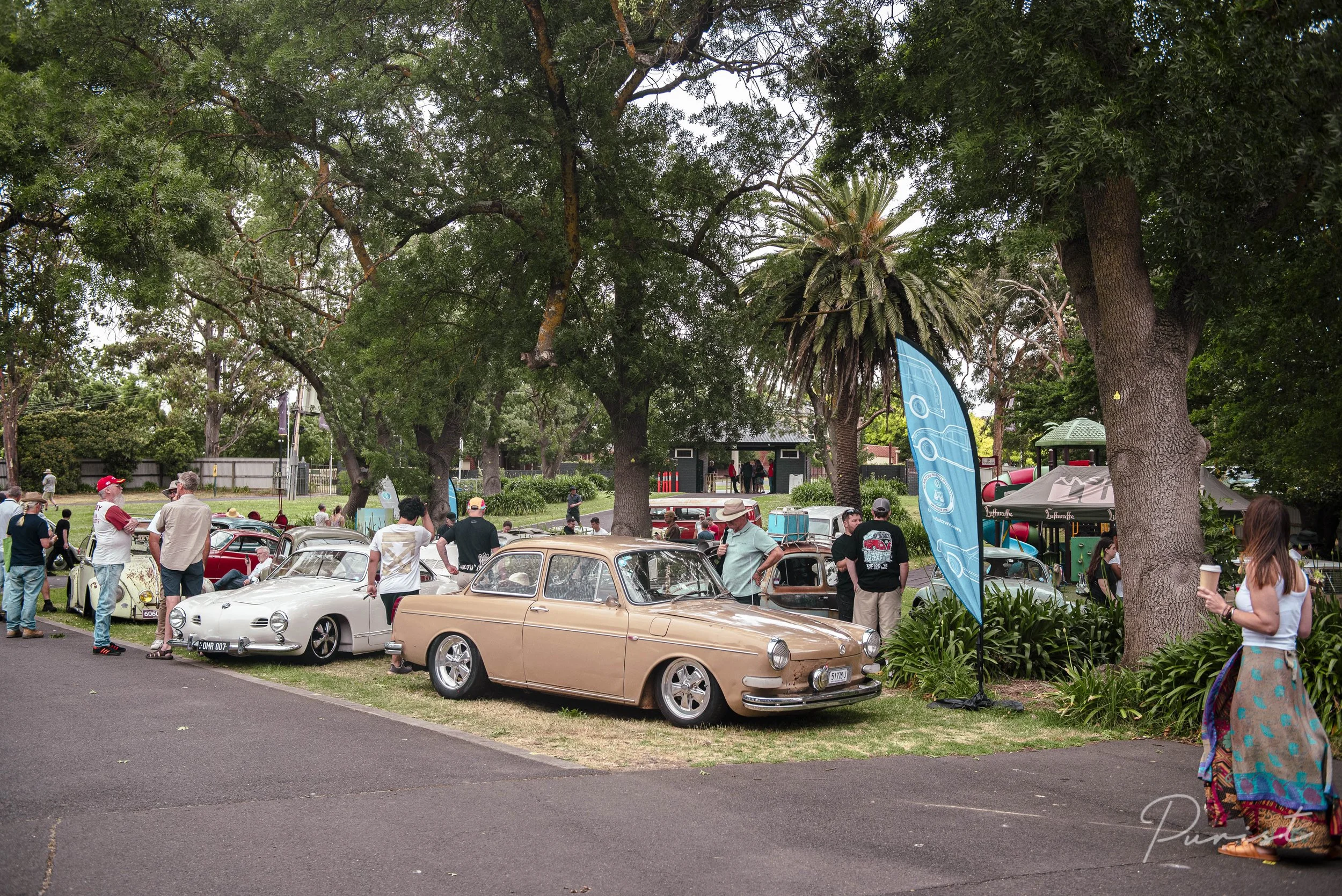 Day of the Volkswagen