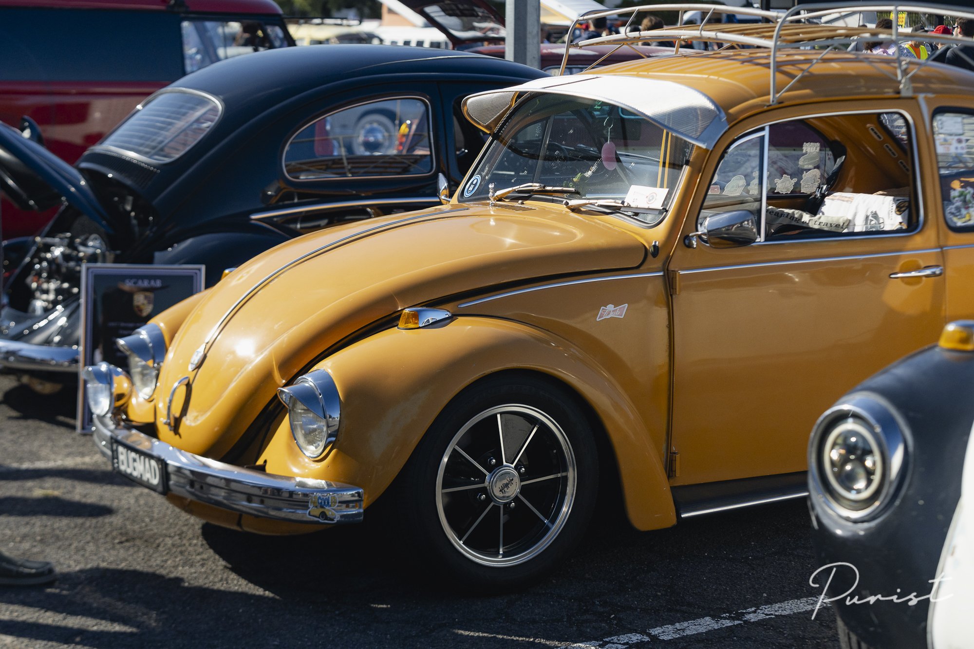 Purist_Dubfest_2025-06106.jpg
