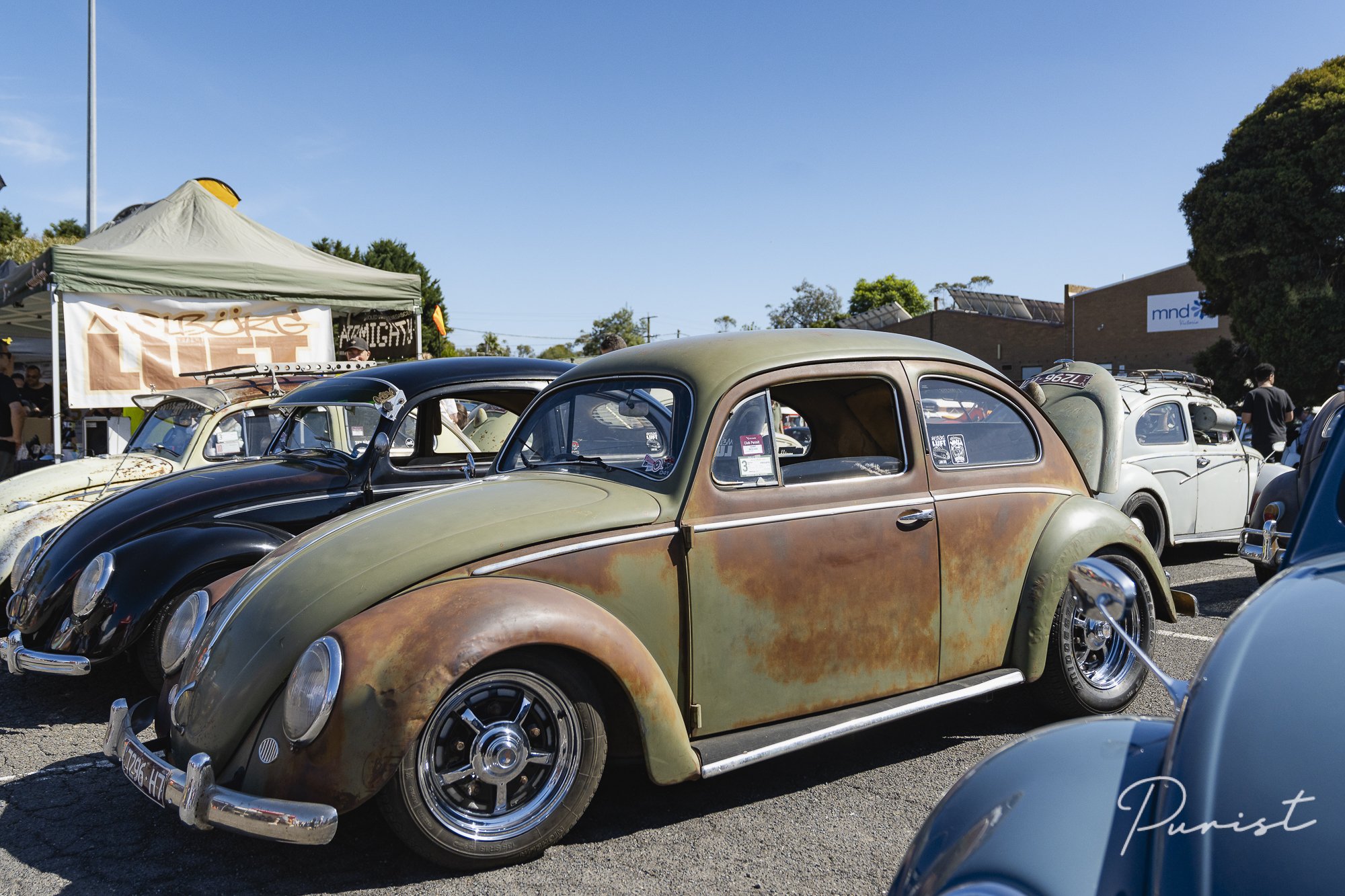 Purist_Dubfest_2025-06228.jpg