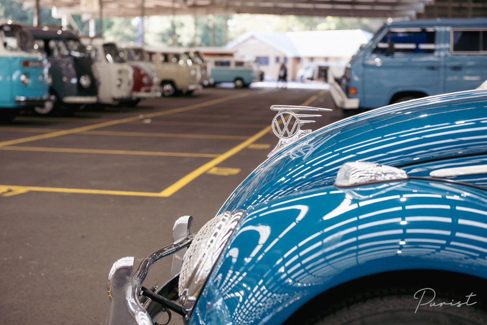 Purist_VWNats20242-7381.jpg