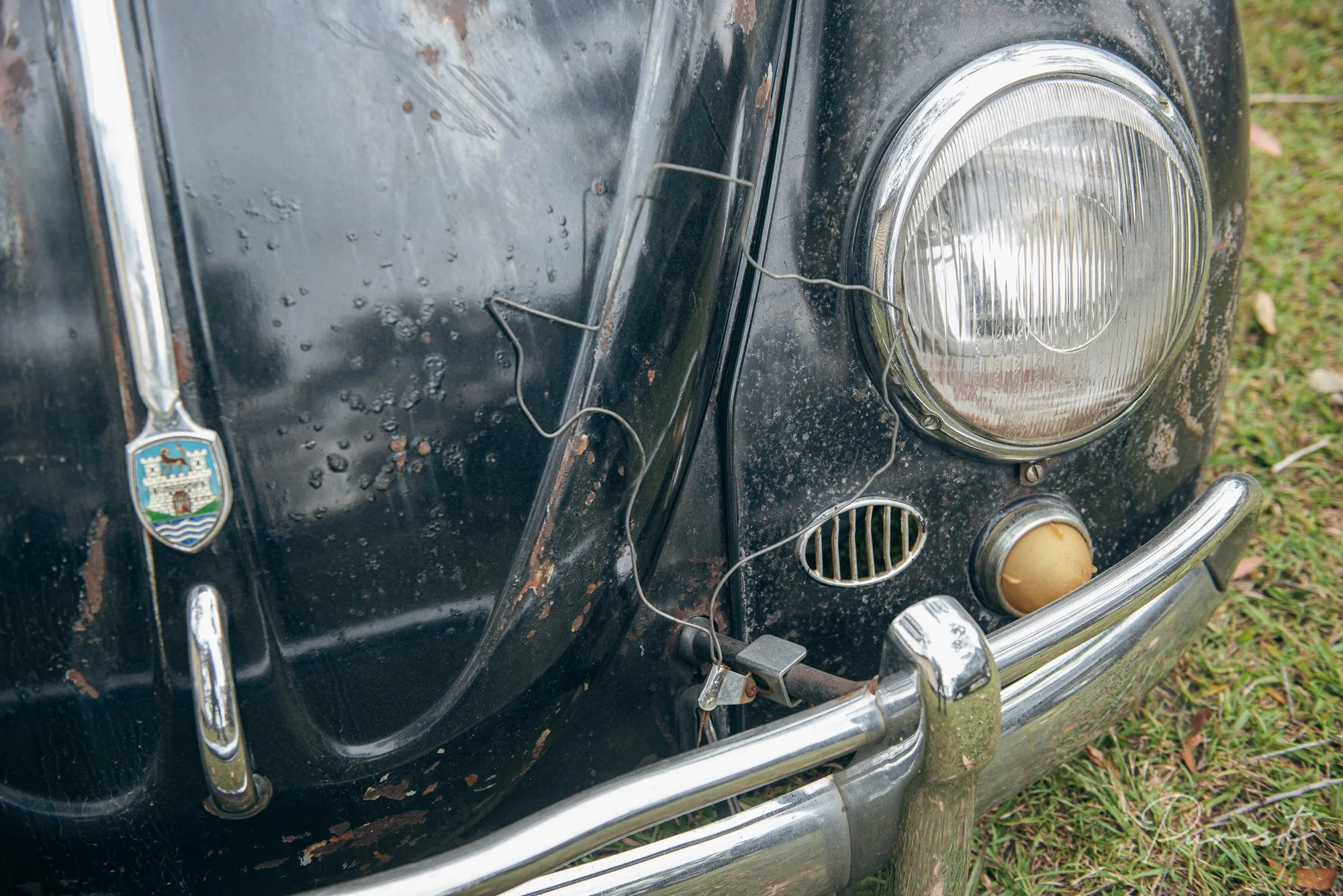 A ‘55 Oval named Tex