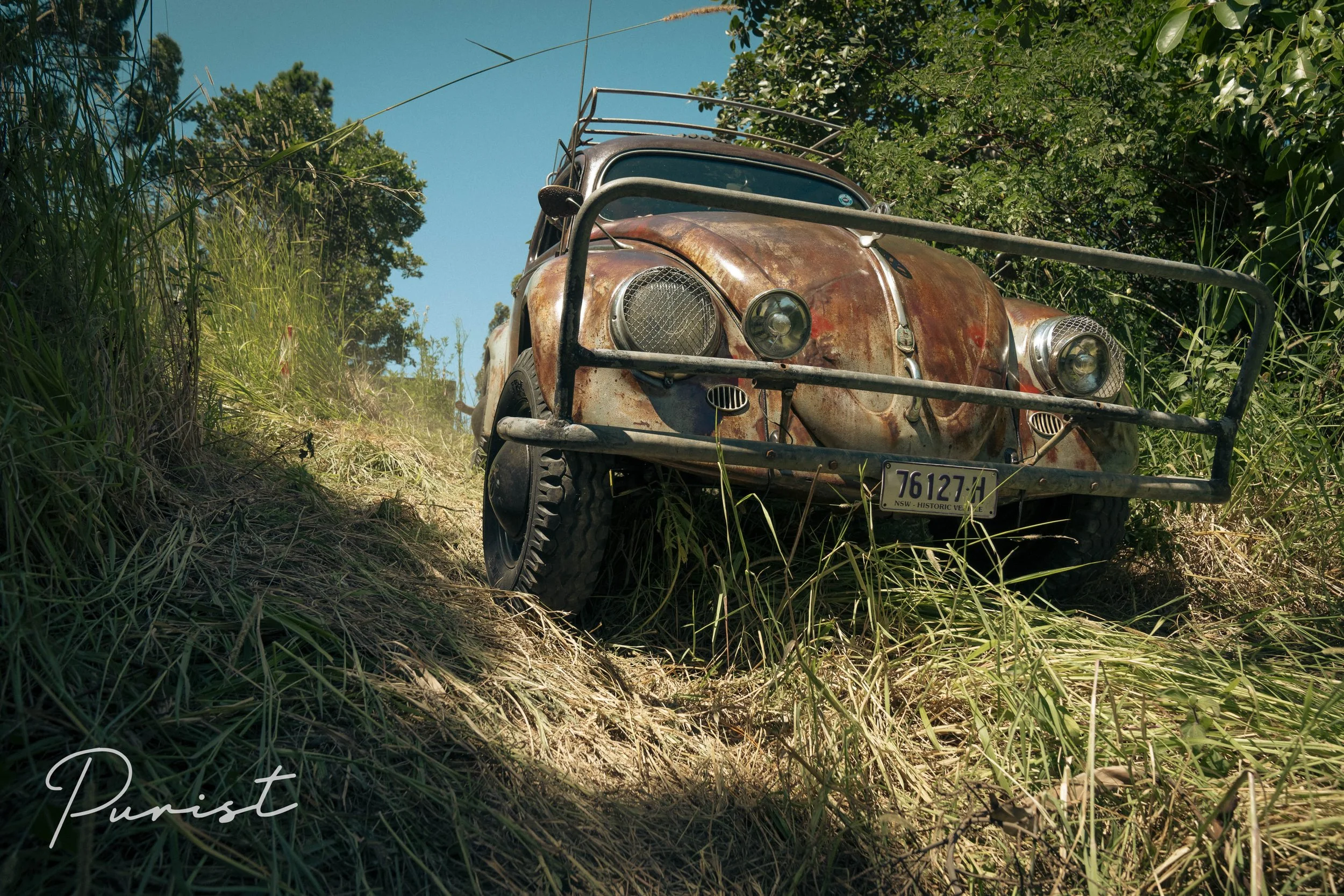 The Country Buggy Oval