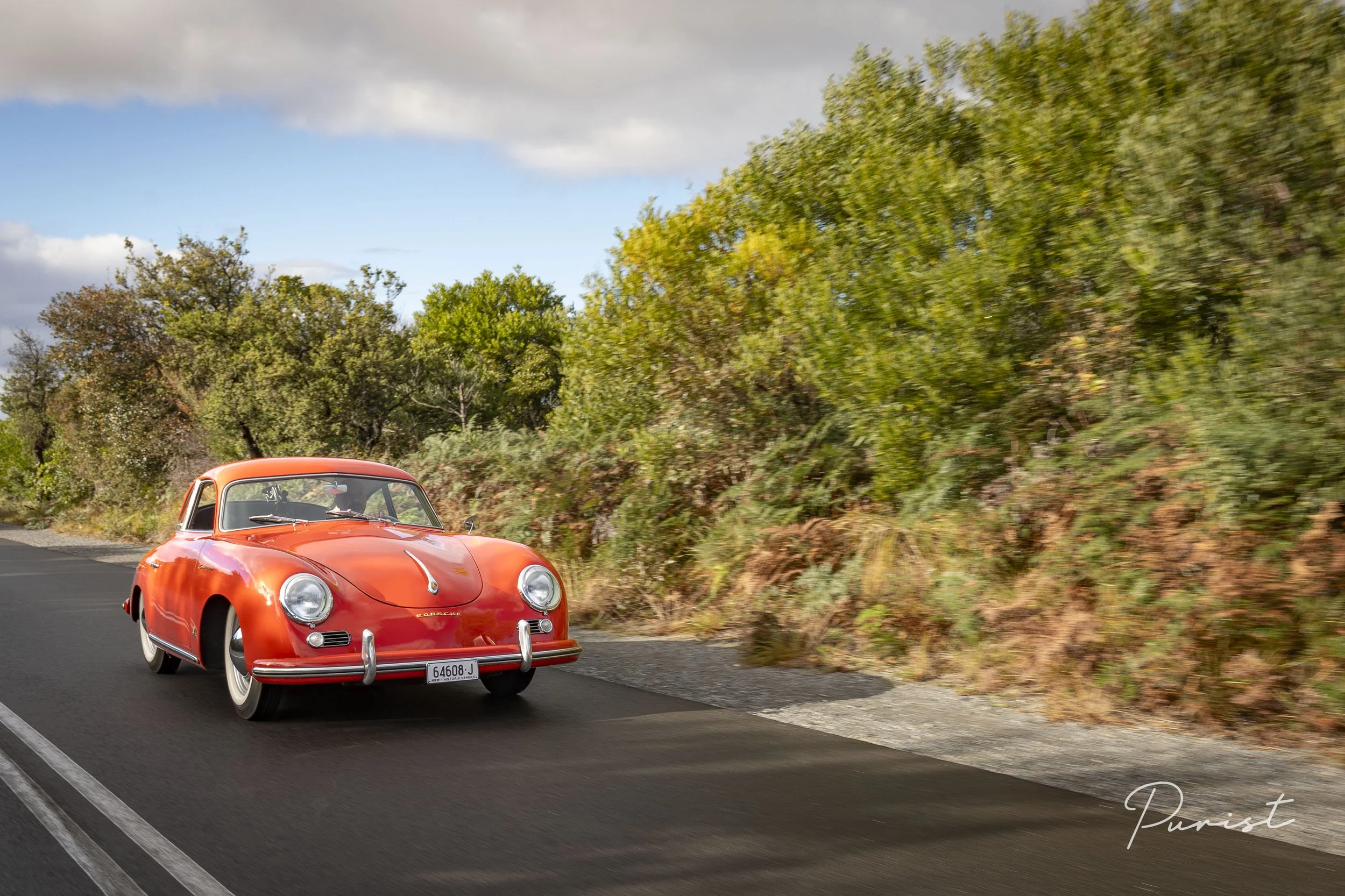 356Continental_SamAli-04239.jpg