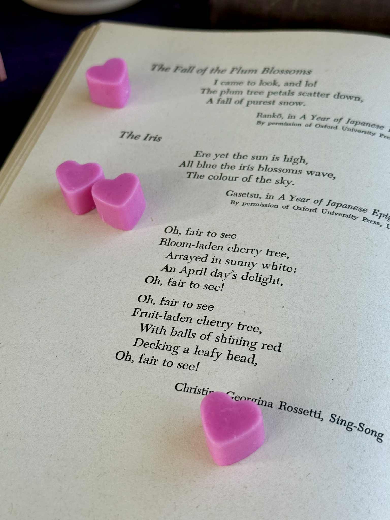 Messenger_creation_D6BA3964-4005-4C60-832B-FC0E83962C71 (1).jpeg