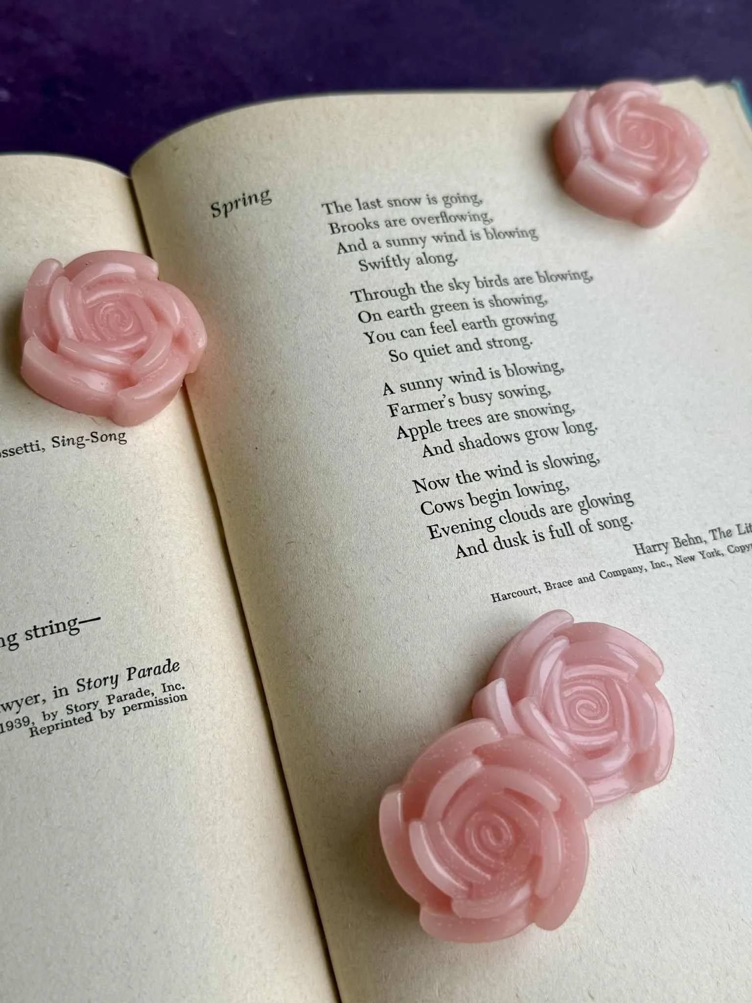 Messenger_creation_175450D0-7D4C-45D0-97F9-F2D0B07FF87B (1).jpeg