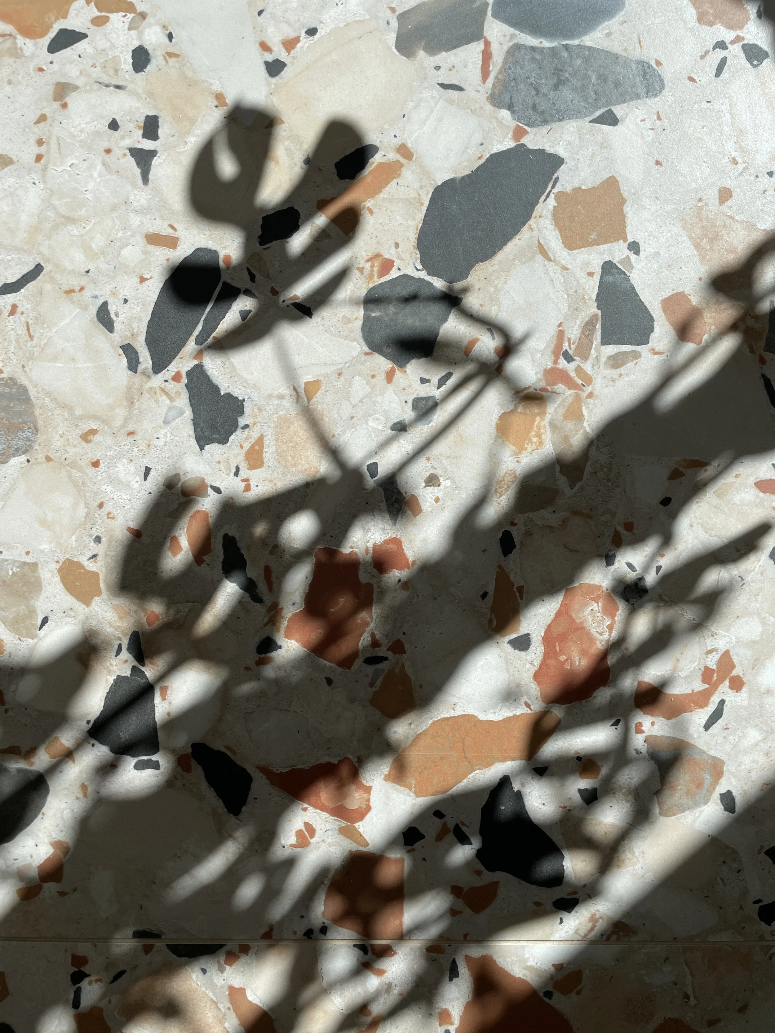 Storia Interiors Hawthorn Extension Terrazzo style tile.JPG
