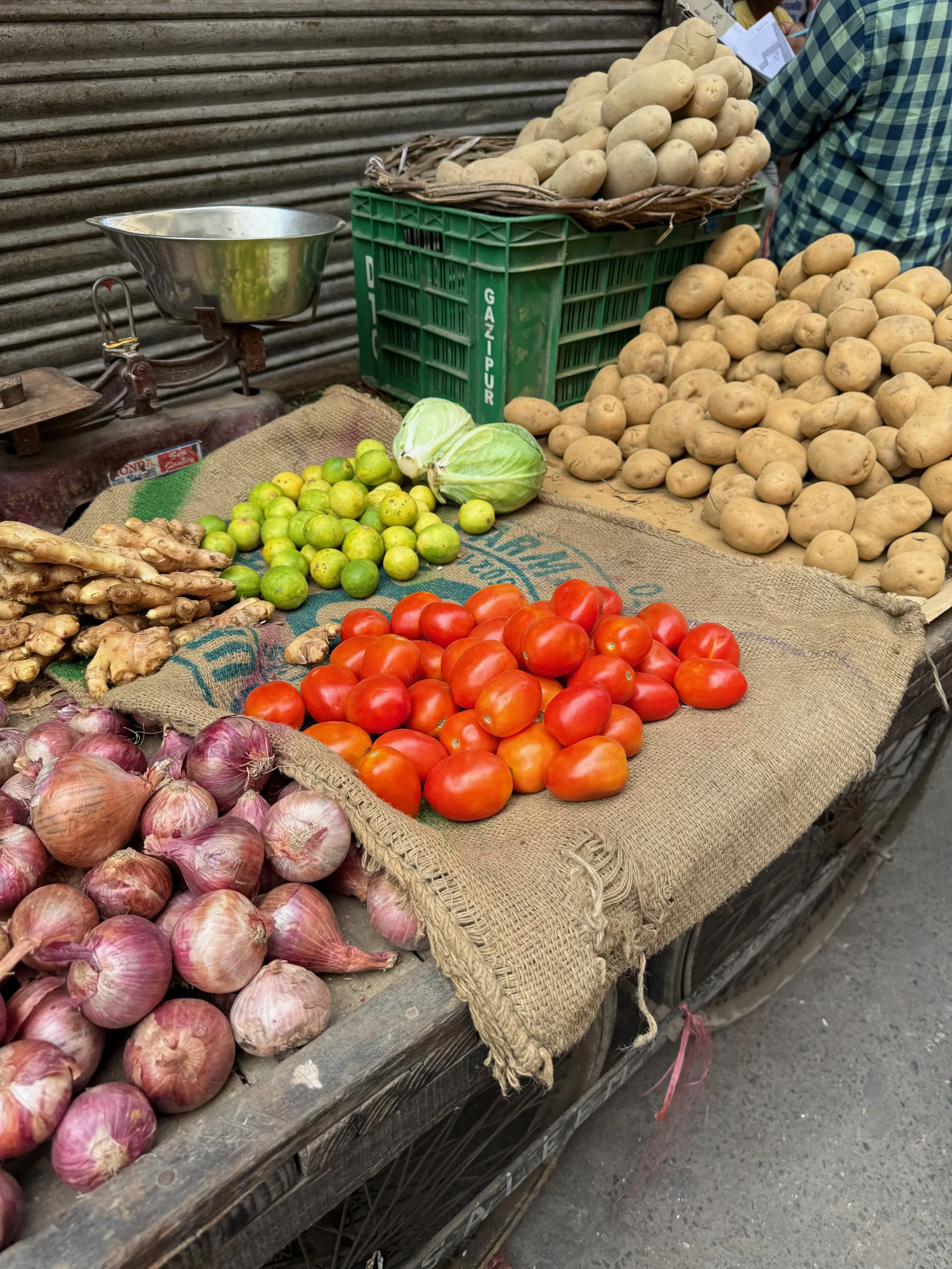 Vegan Food in Northern India