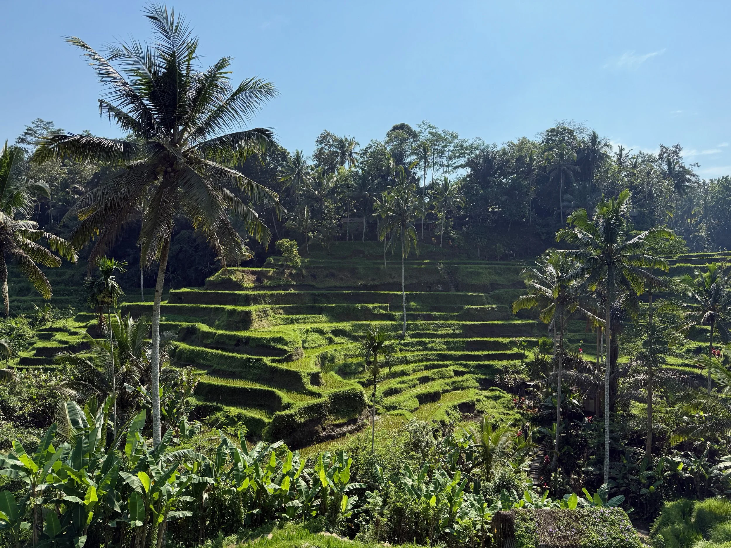 My Highlights of Indonesia