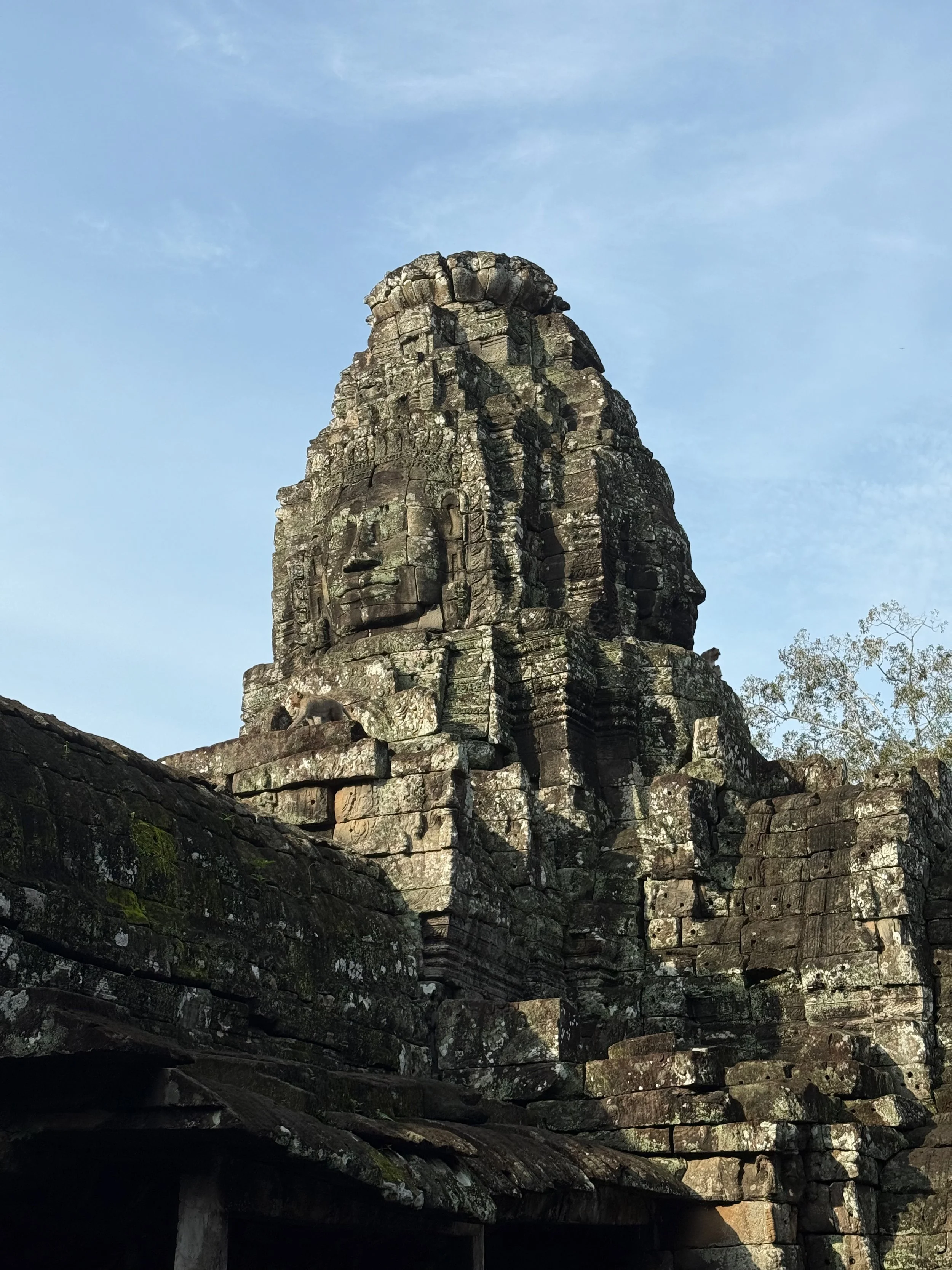 IMG_7231.jpeg
