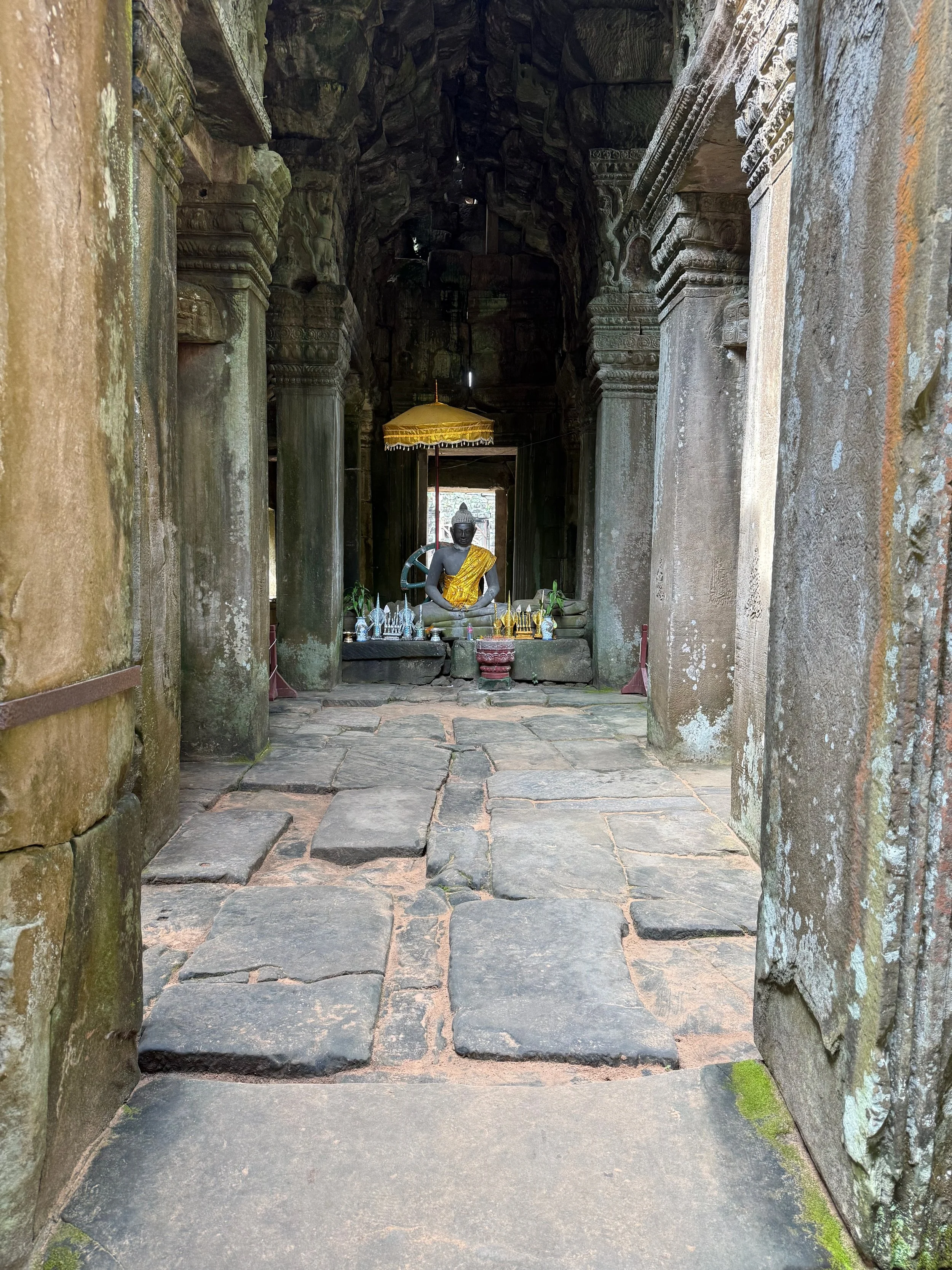 IMG_7329.jpeg