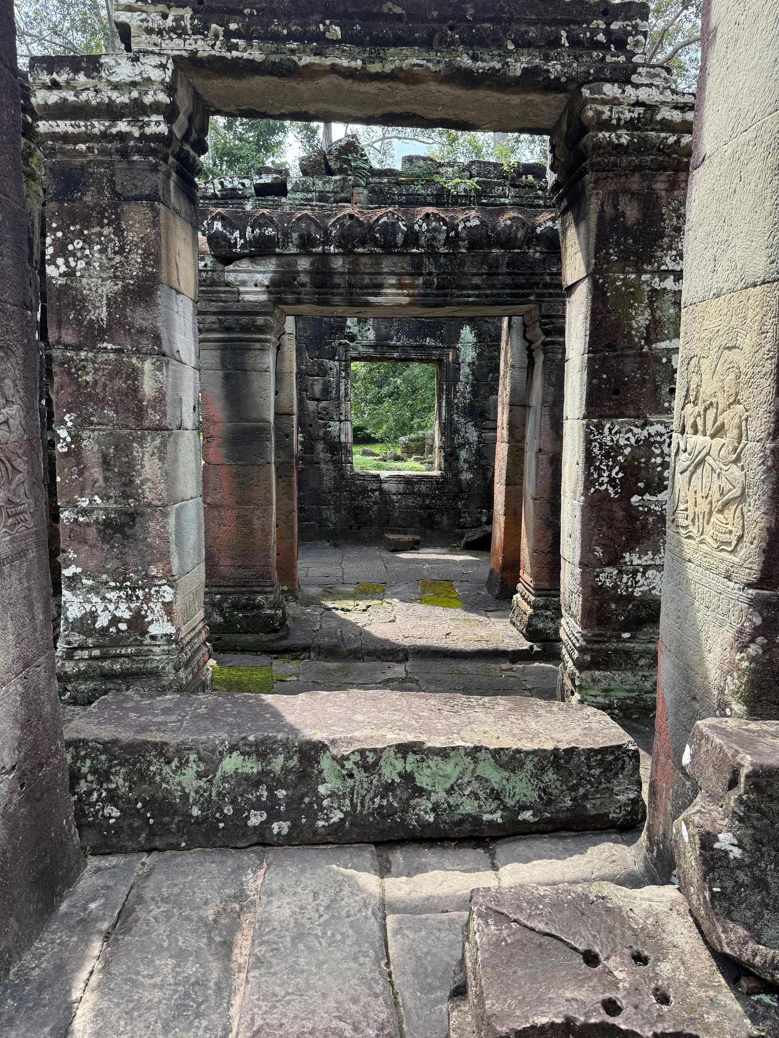 IMG_7322.jpeg