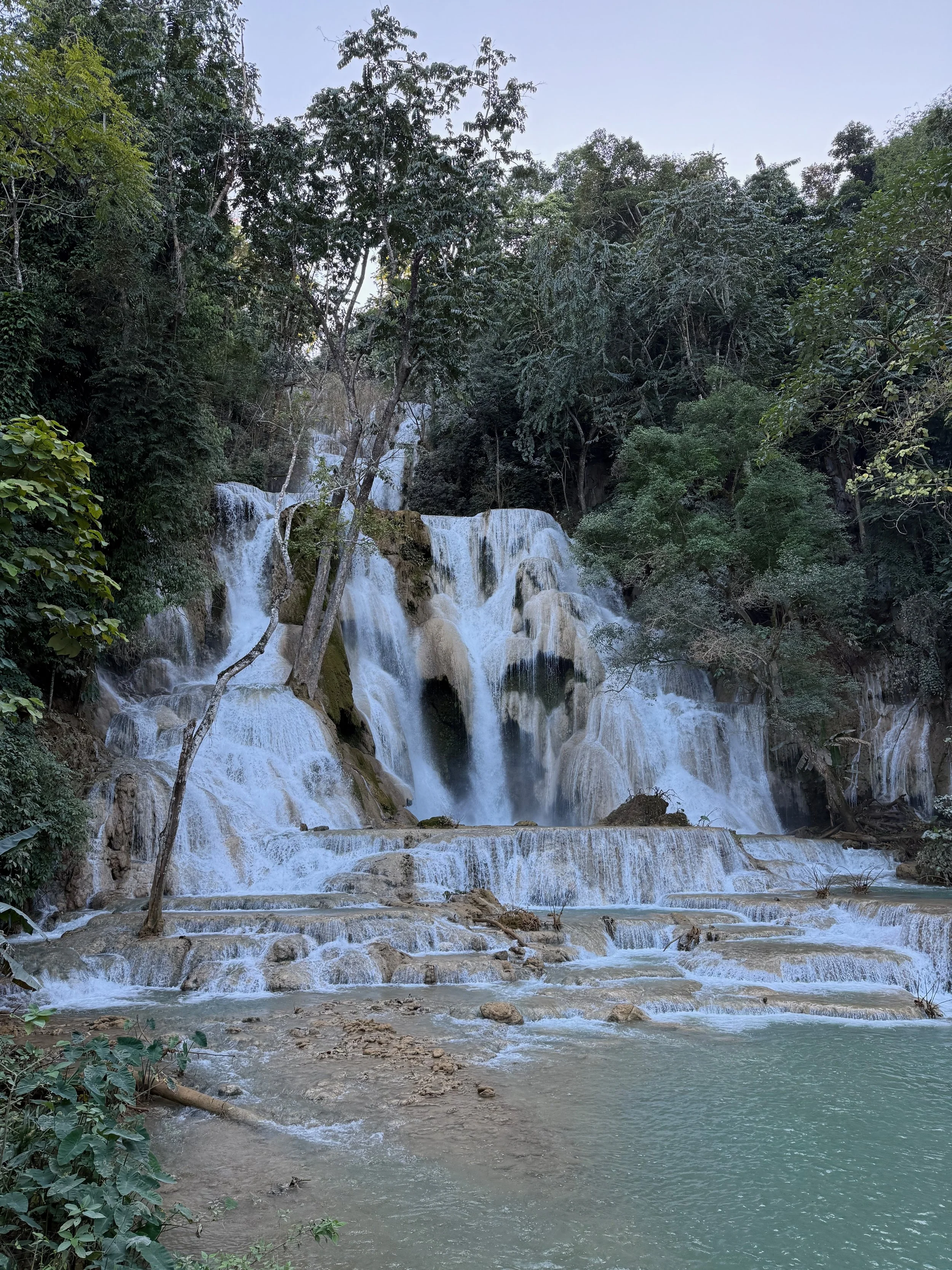 IMG_7654.jpeg