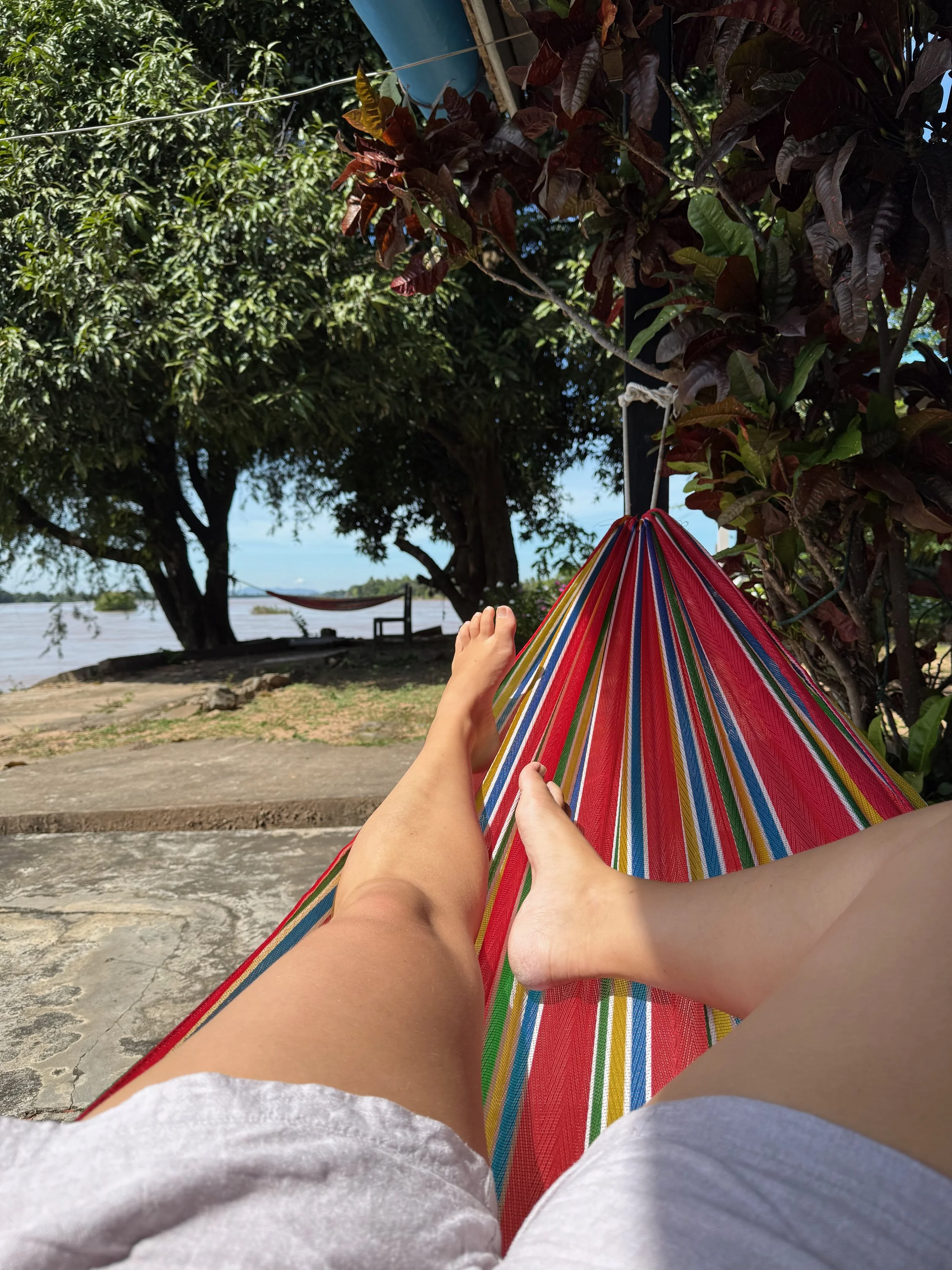 IMG_8102.jpeg