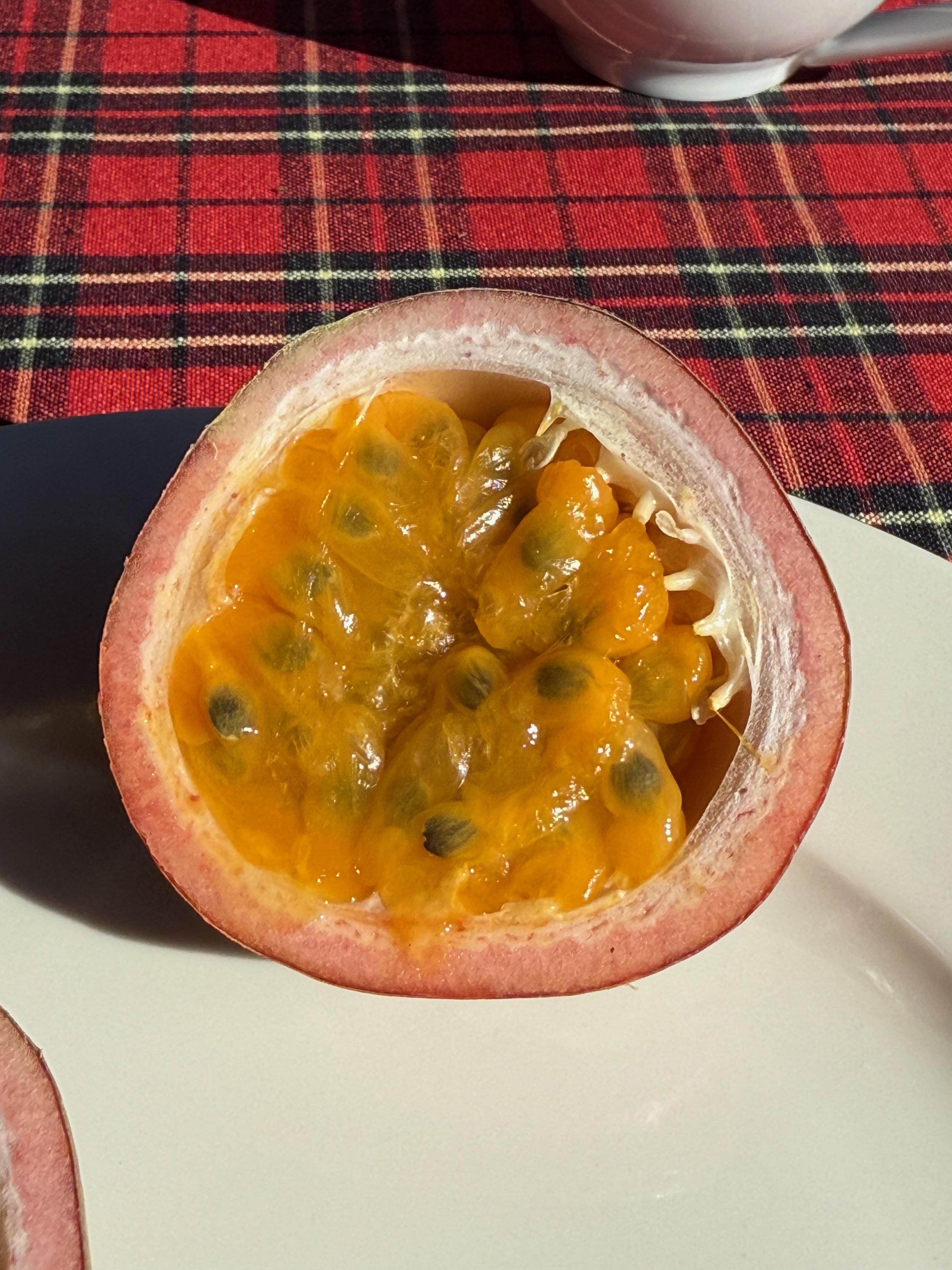 Vegan Food in Laos