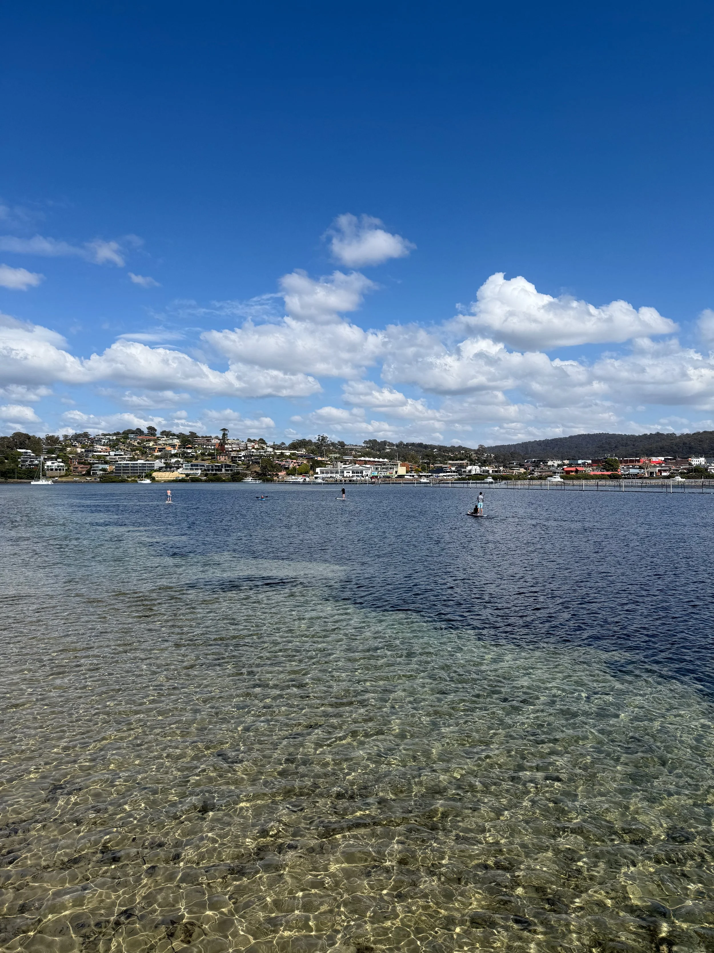 IMG_1582.jpeg