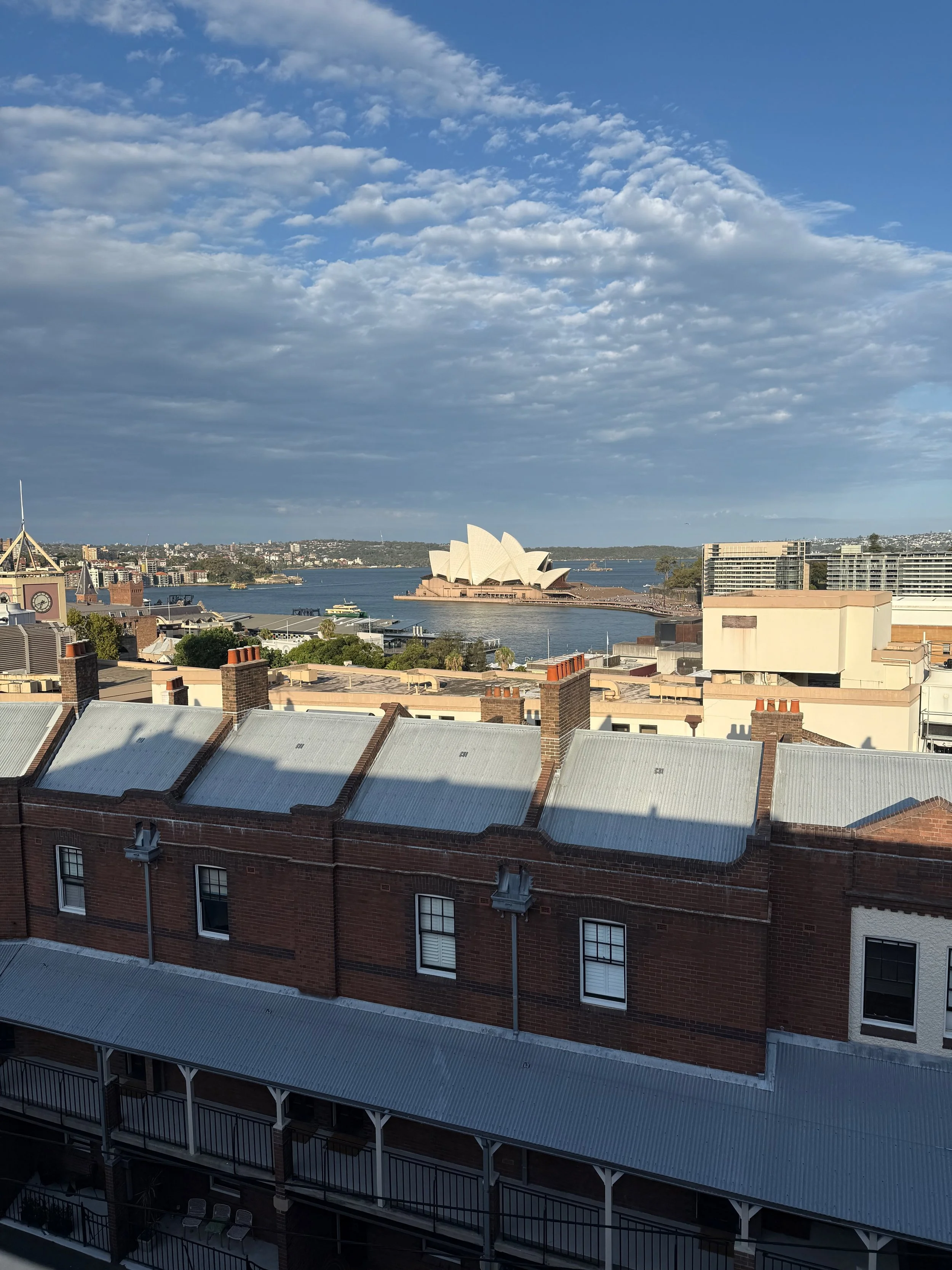 IMG_2022.jpeg