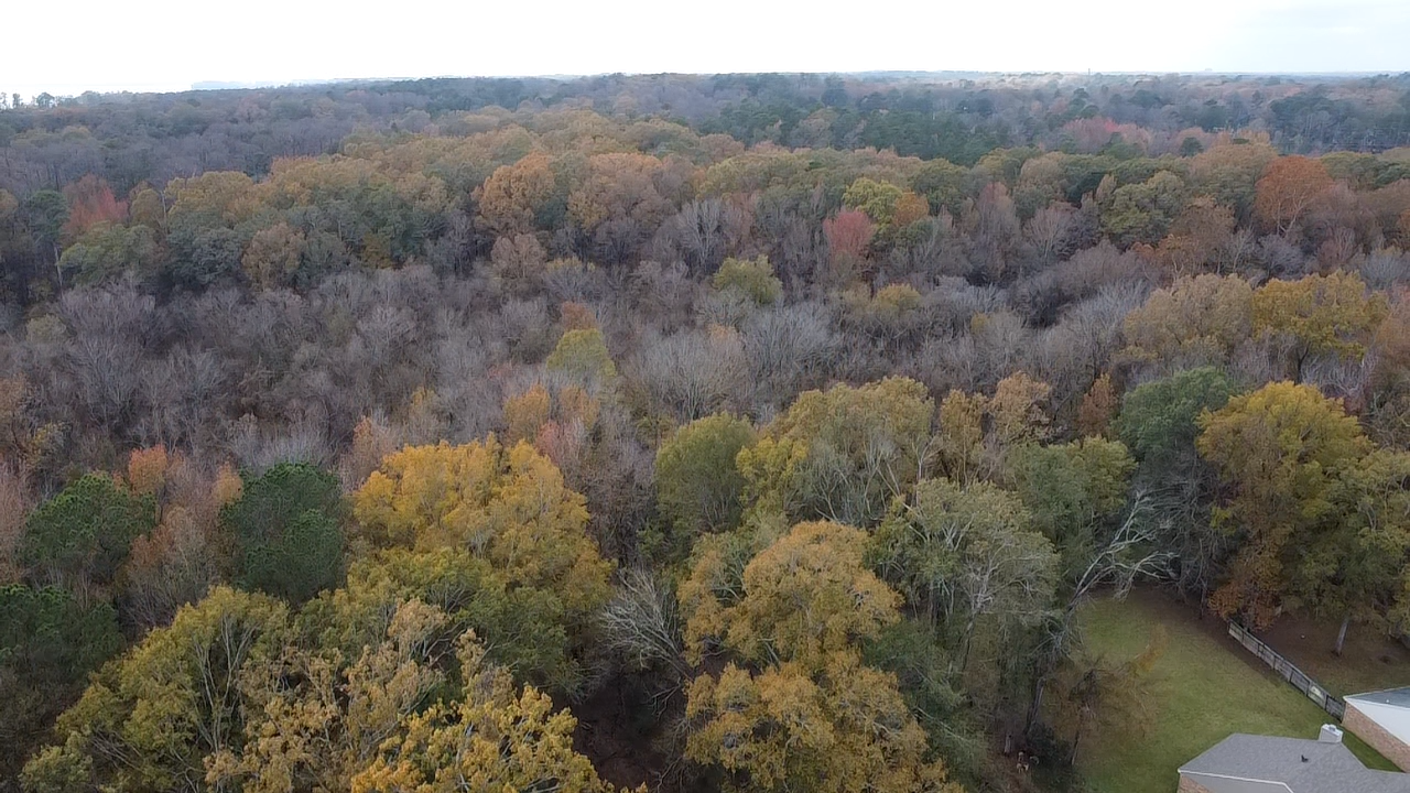 Aerial view of a forest with trees in fall colors, mostly bare trees, and a small building with a fence in the lower right corner.