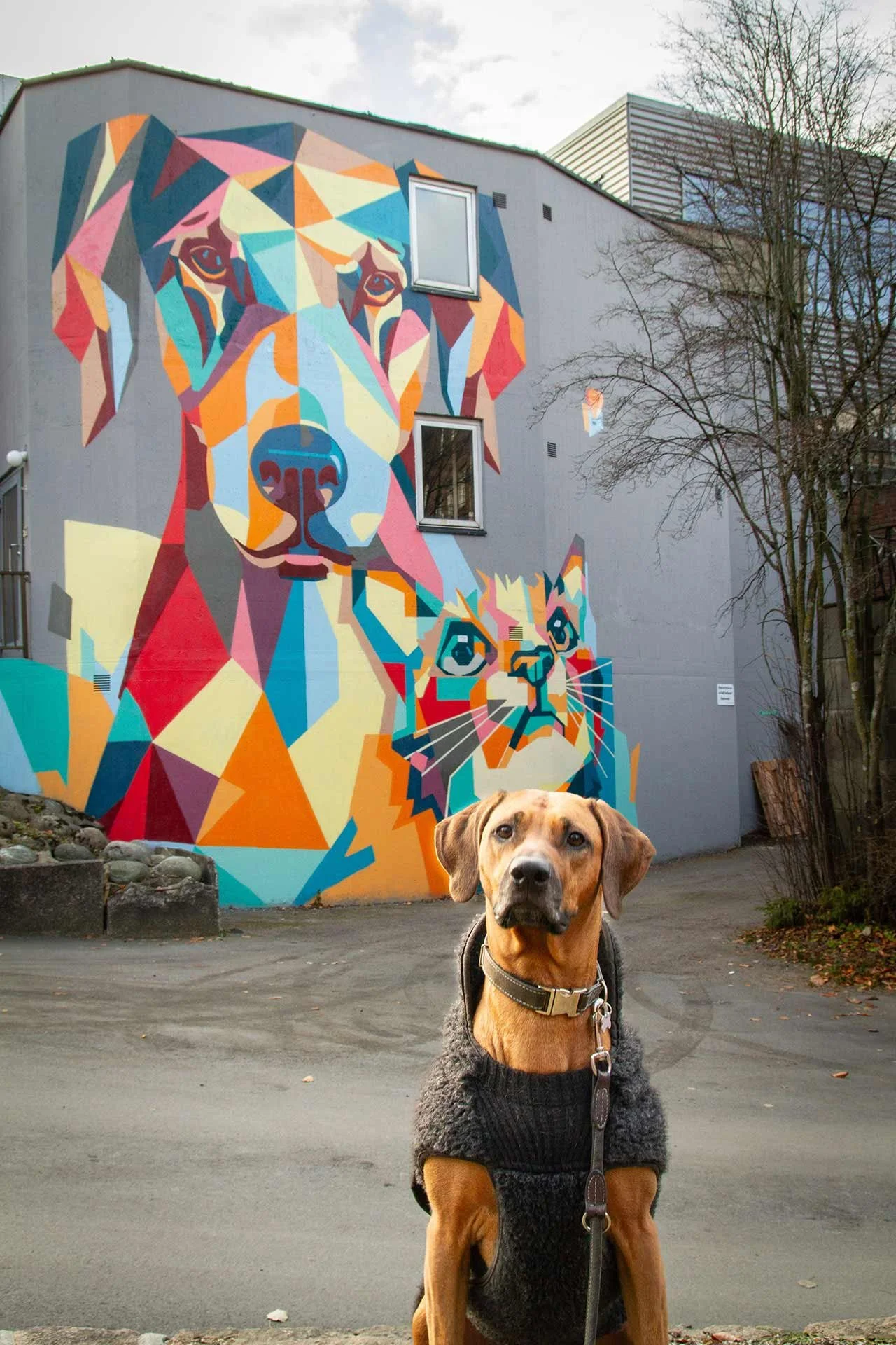 Muralmålning av en hund och en katt.