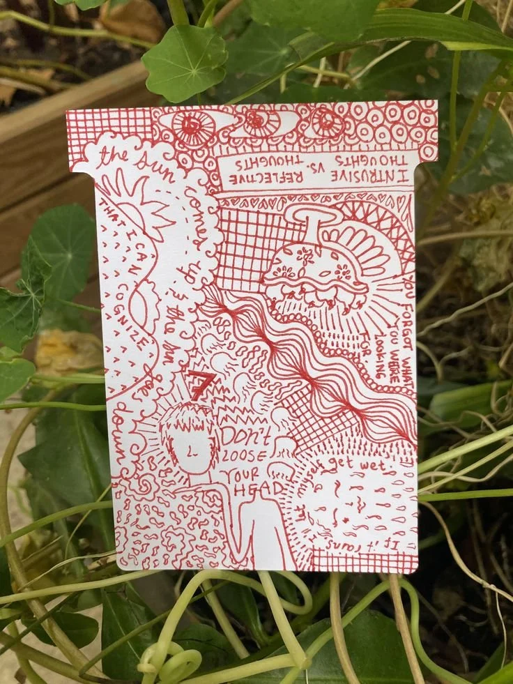 descarga (52).jpg