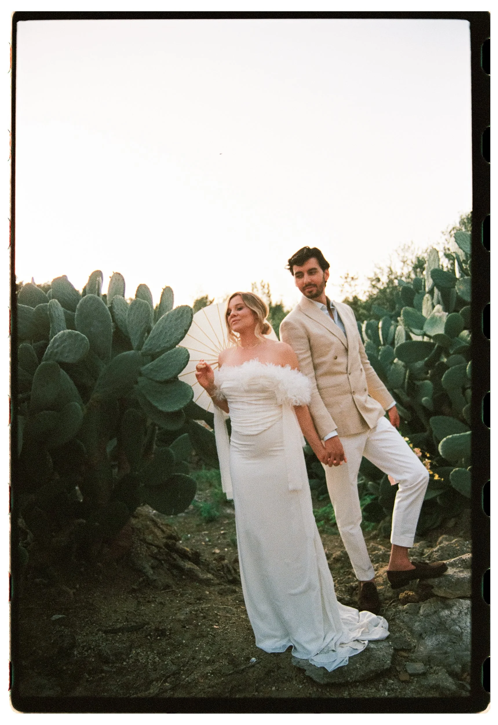 A bride and groom holding hands, standing outdoors among large cactus plants. The bride is in a white wedding dress holding a parasol, while the groom is in a light-colored suit.