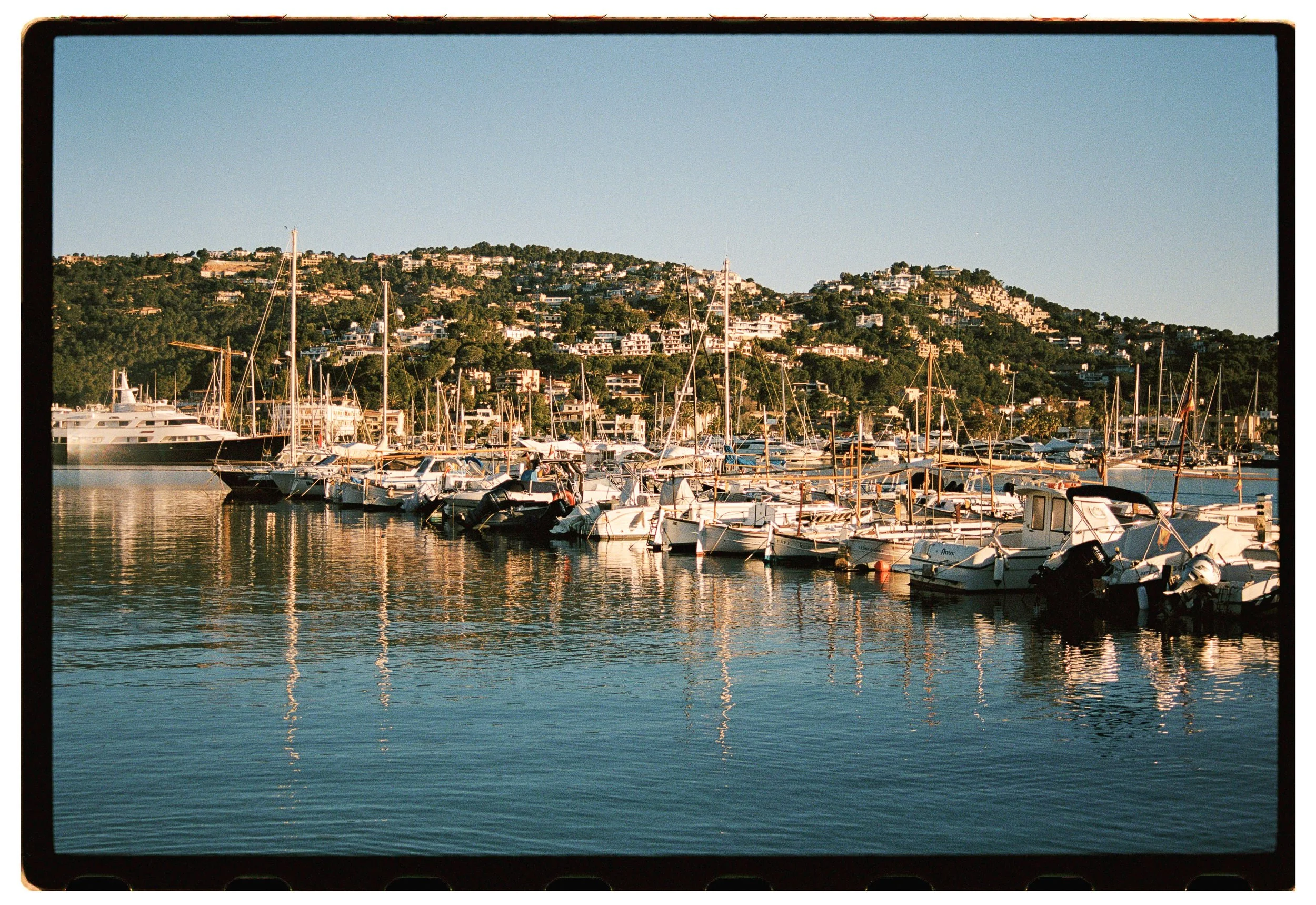A marina with numerous sailboats and yachts docked on calm water, with a hillside covered in houses in the background under a clear blue sky.