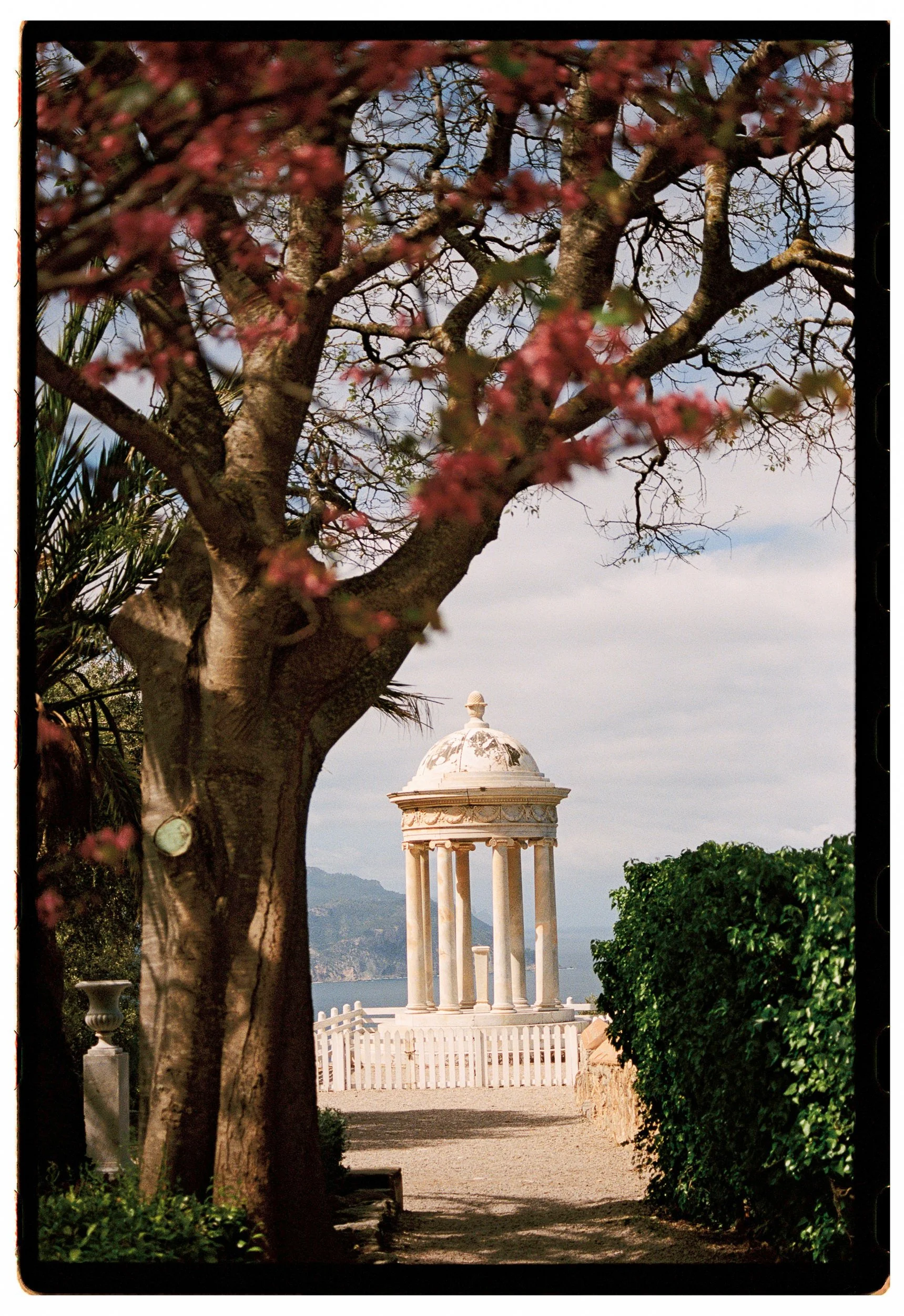 A tree with pink blossoms in the foreground, a white domed pavilion with columns in the background, overlooking water and mountains.