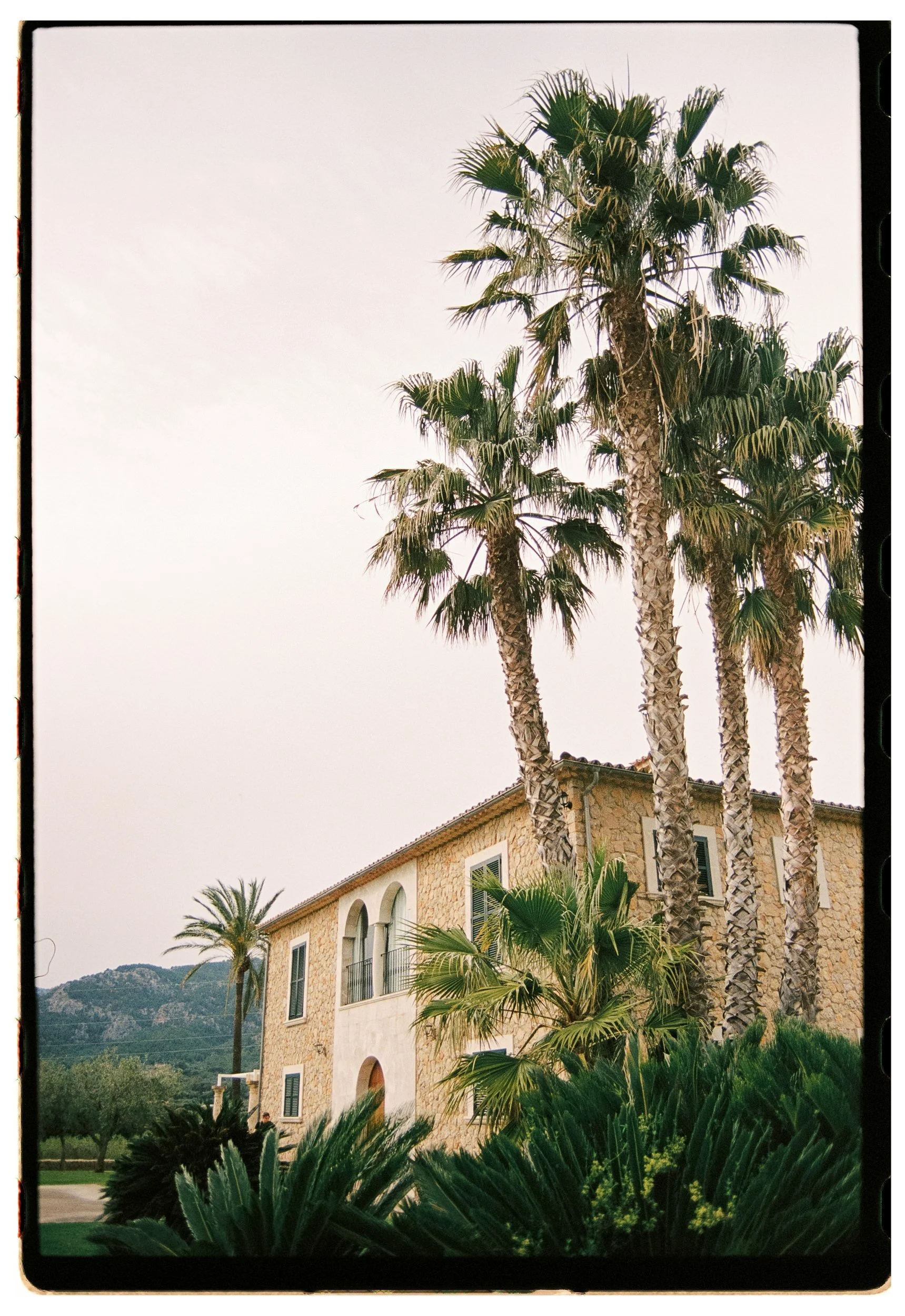 A tall palm tree and a smaller palm tree in front of a stone house with arched windows, surrounded by lush greenery with mountains in the background.