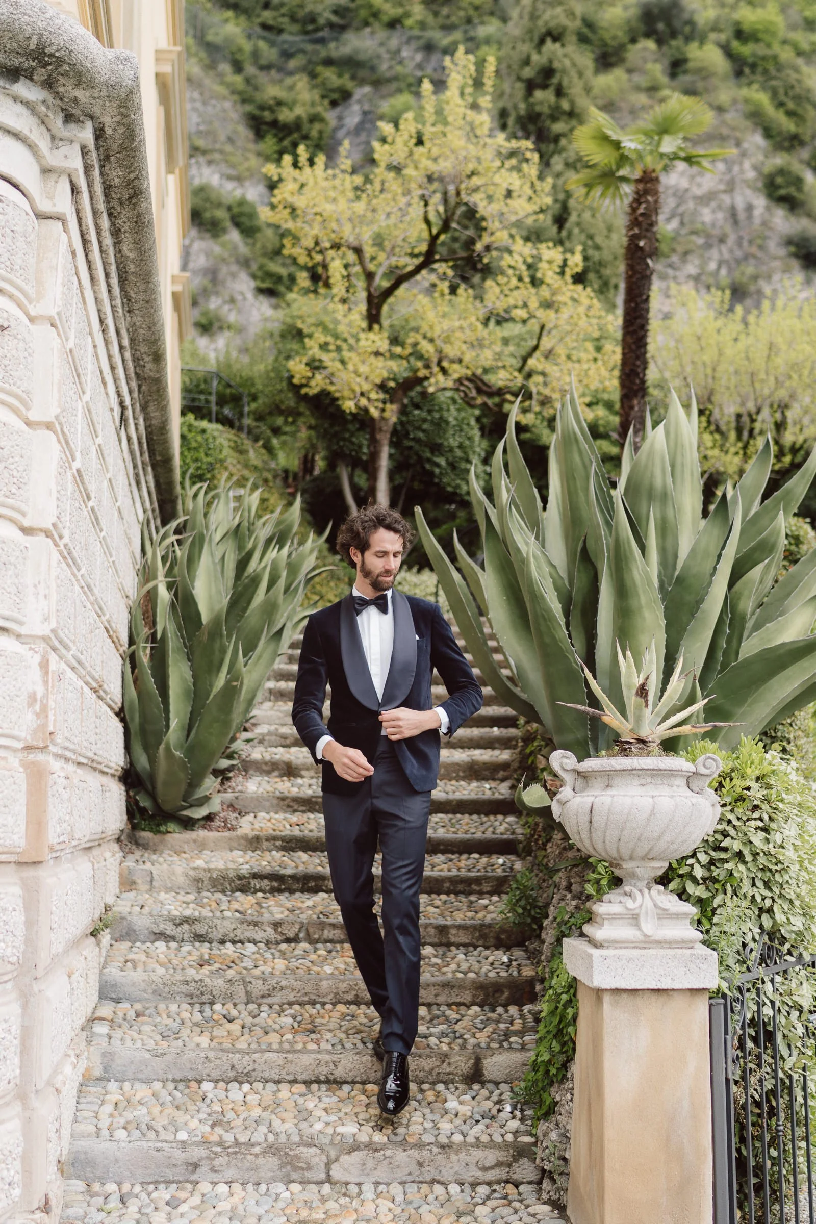 A man dressed in a tuxedo walking down stone steps outdoors, surrounded by large agave plants and greenery, with trees and a mountain in the background.