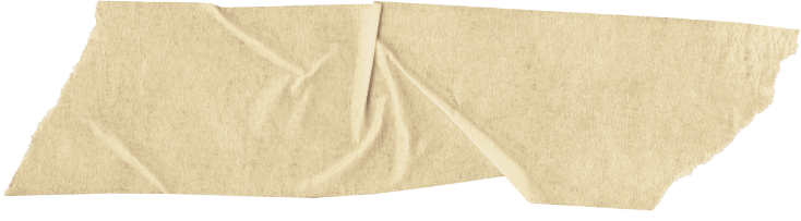 Close-up of a beige paper with a torn edge and creases.