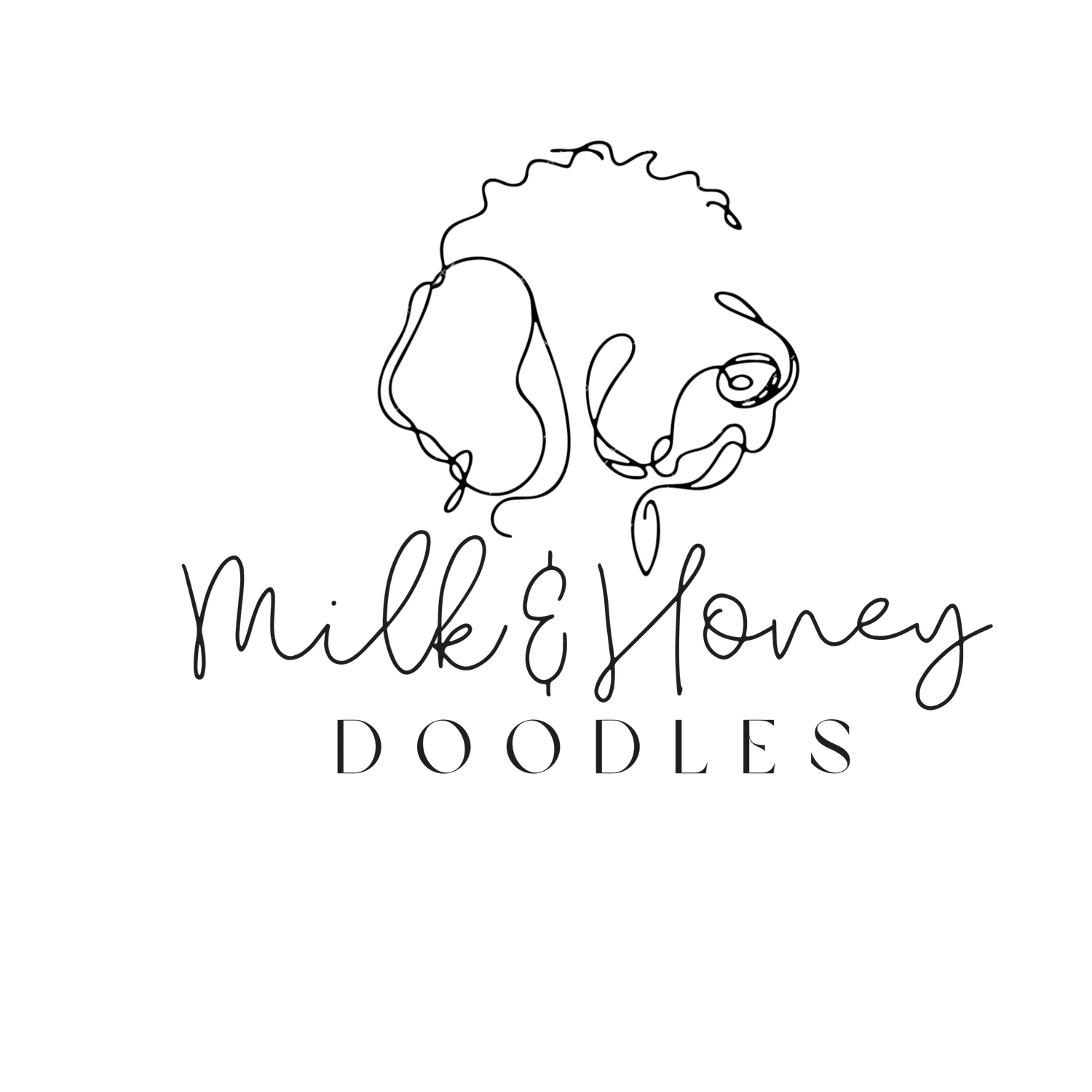 Milk &amp; Honey Doodles | Kentucky's BEST Doodle Breeder 