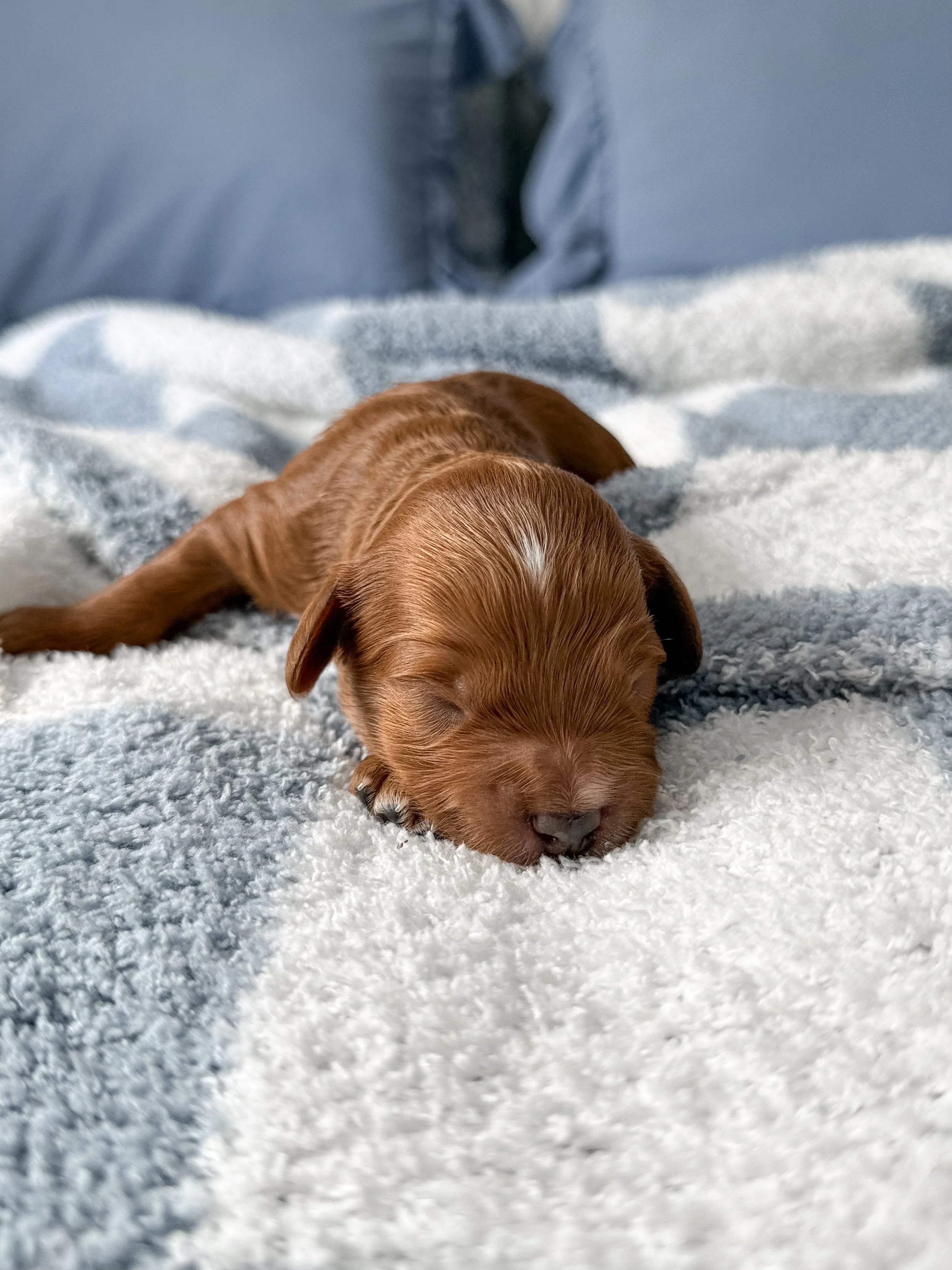 IMG_7066.jpg