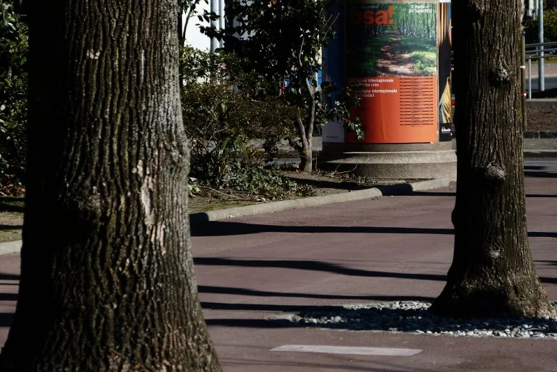 poster of the theatre program