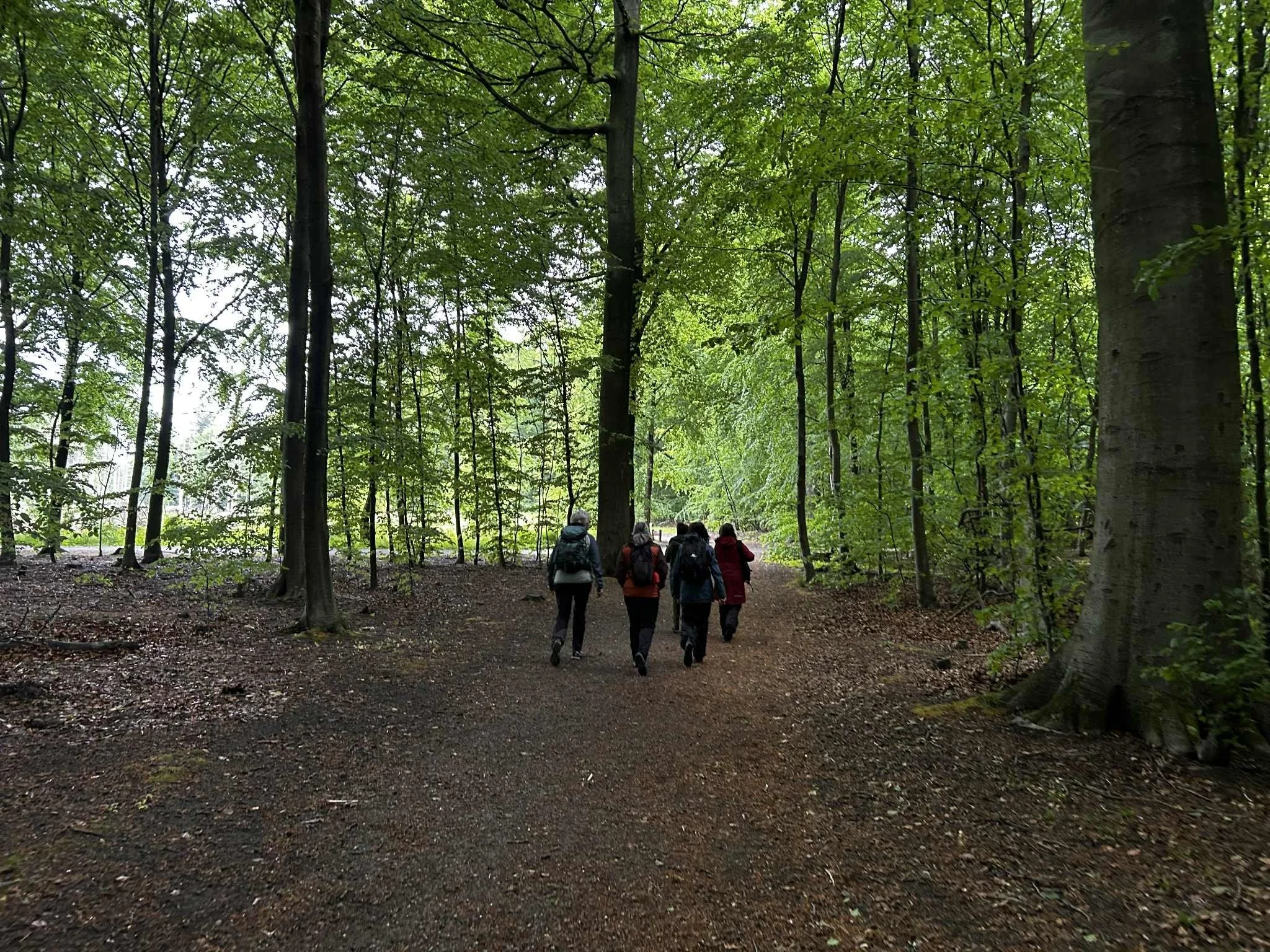 Naturligt nærvær - kortere forløb
