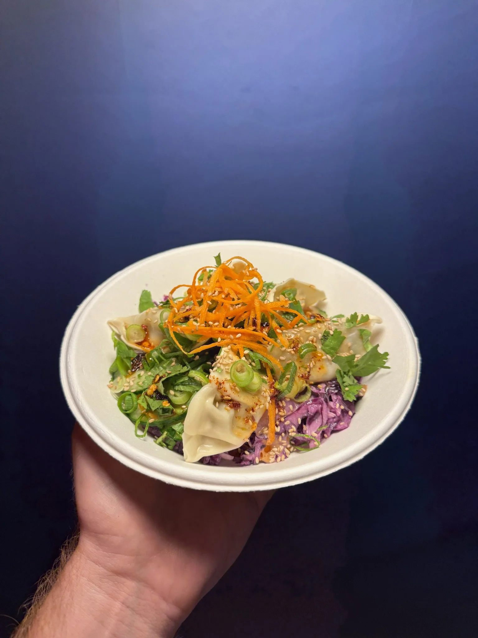 Eine Hand hält eine Schüssel mit asiatischem Gericht, inklusive Dumplings, geschnittenen Frühlingszwiebeln, Karottenspiralen, Sesamsamen und einer dunkelrot-violetten Kohlgemüse