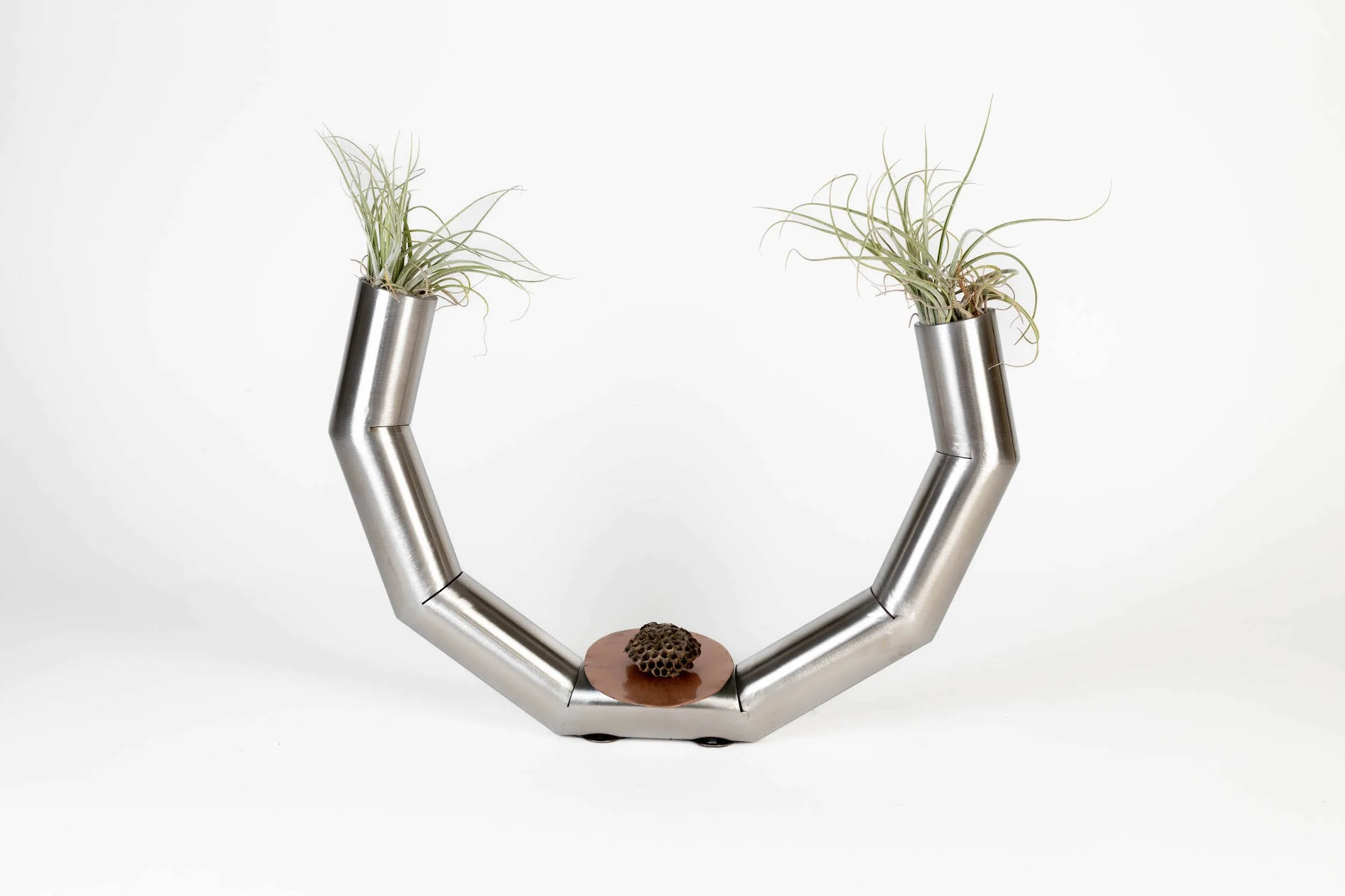 FanniSomogyi-acelestialdance,wherelife_sbreathfindsitssacredplace-10_x14_x5_-Stainlesssteel,copper,aiplant,beehive-2023-$895 - Fanni Somogyi.jpg