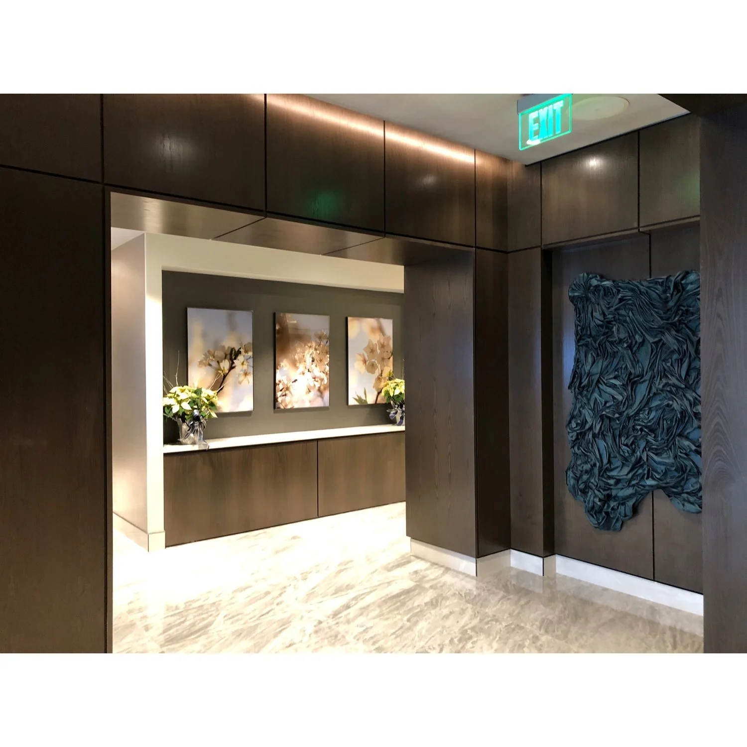 Lobby-Art-Luxury-Condominium-Latela-Curatorial-Art-Consultancy-Washington-DC.jpeg
