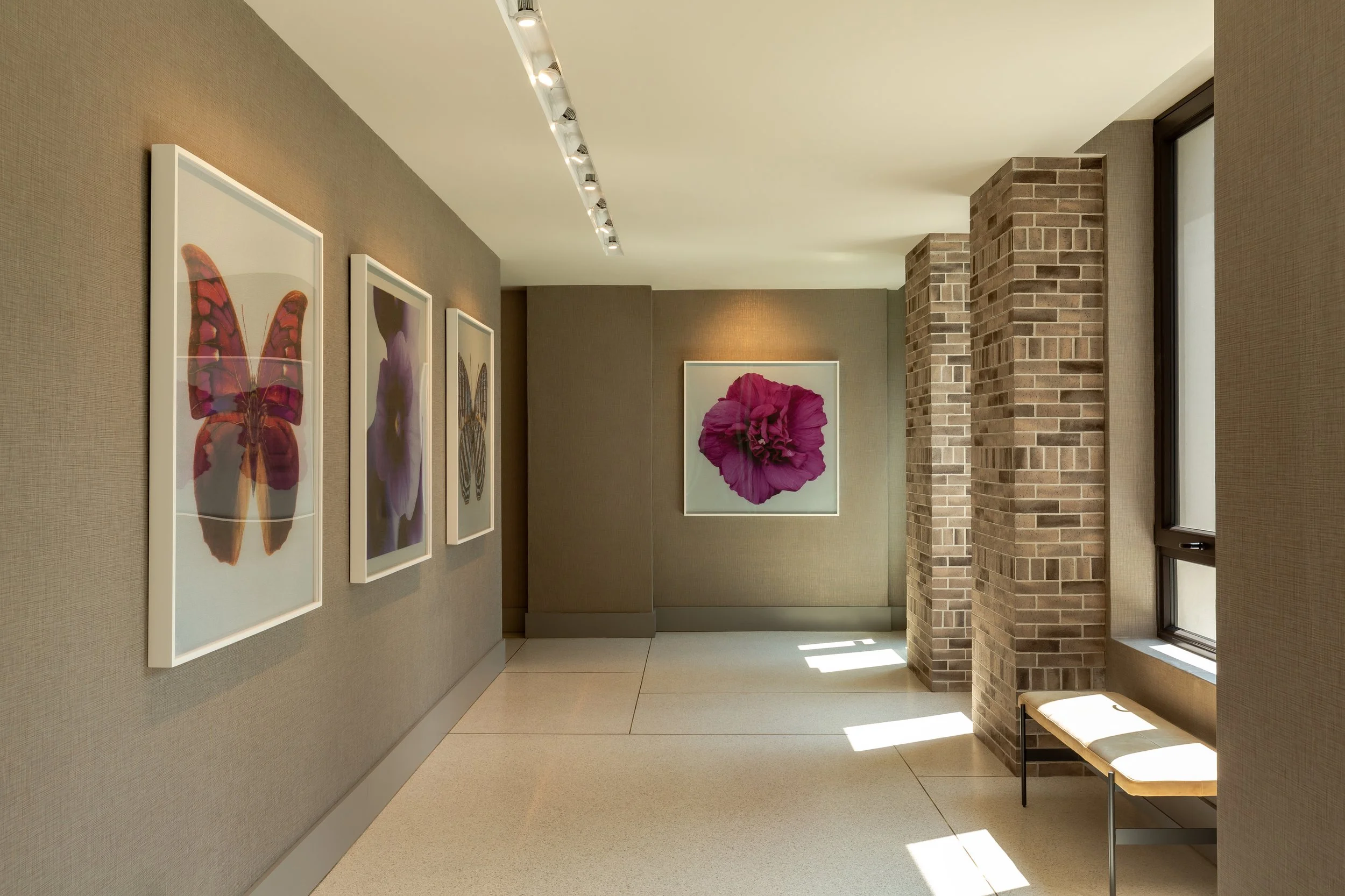 Latela_Curatorial_Strathmore_Sq_August_2024-9976.jpg