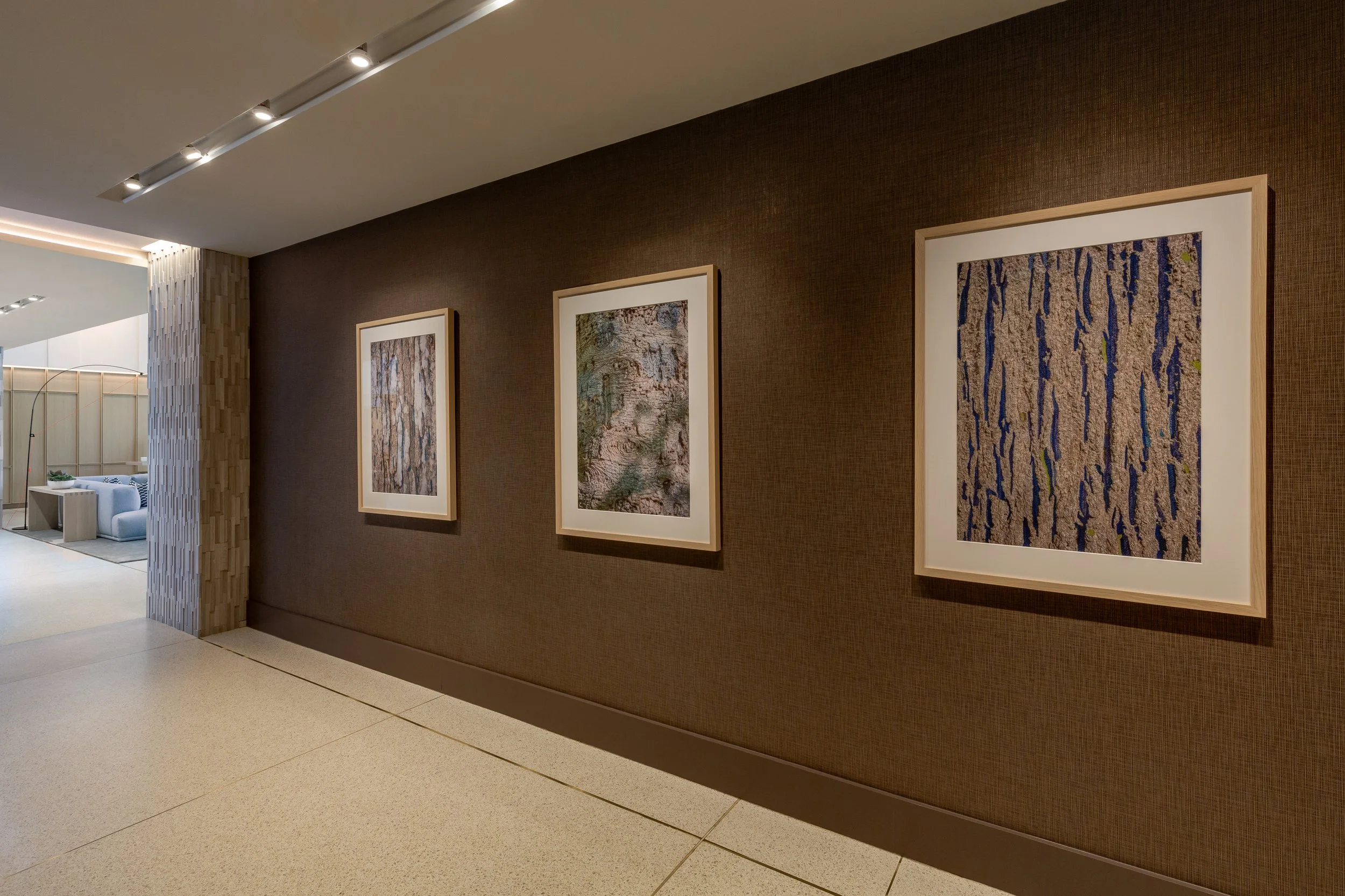 Latela_Curatorial_Strathmore_Sq_August_2024-9997.jpg