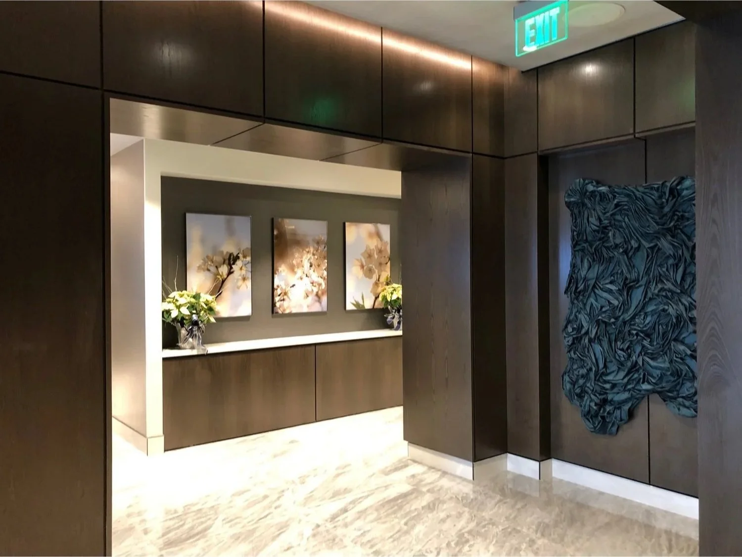 Lobby-Art-Luxury-Condominium-Latela-Curatorial-Art-Consultancy-Washington-DC.jpg
