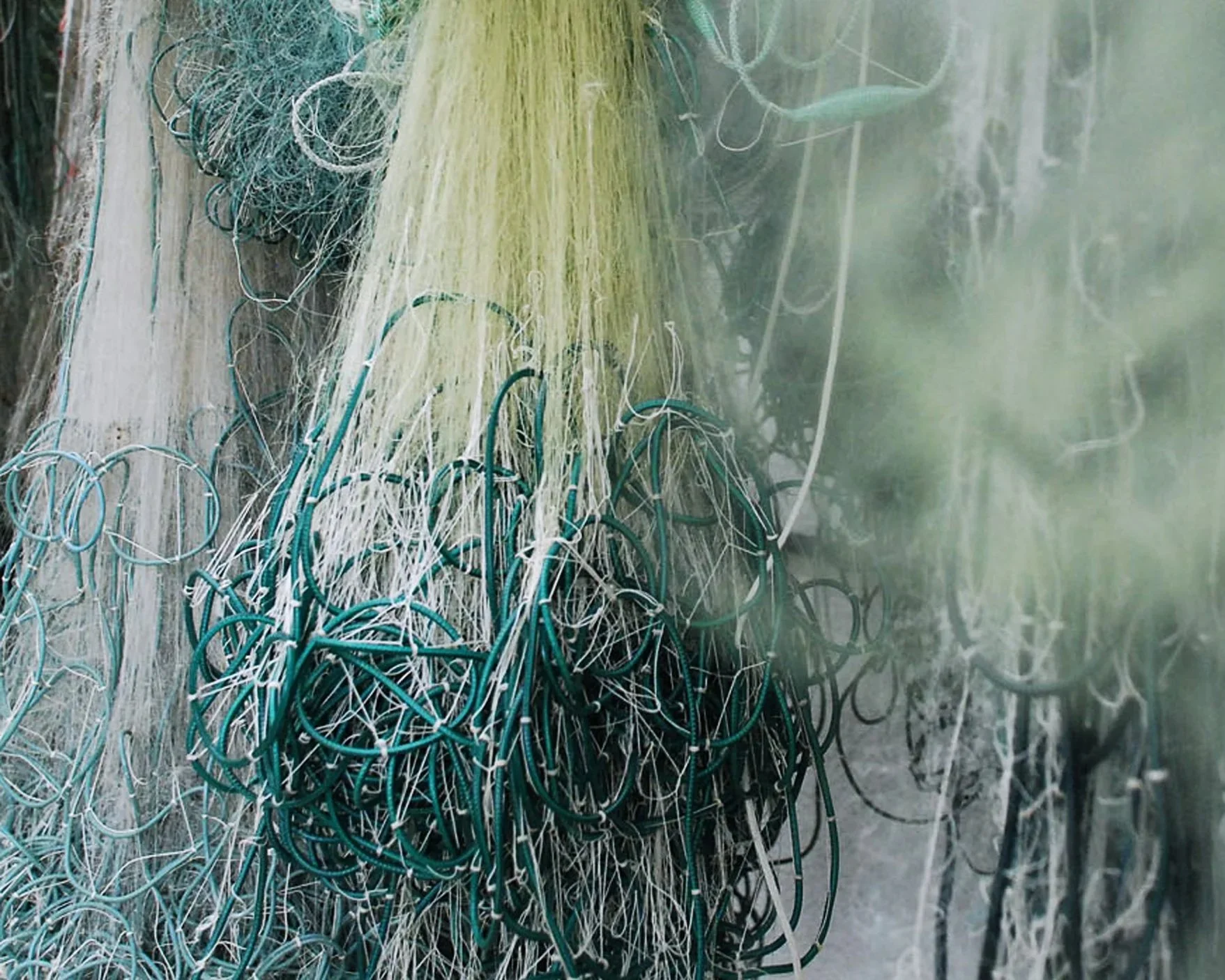 Frischfisch richtig lagern: So bleibt Fisch aus dem Zürichsee länger perfekt