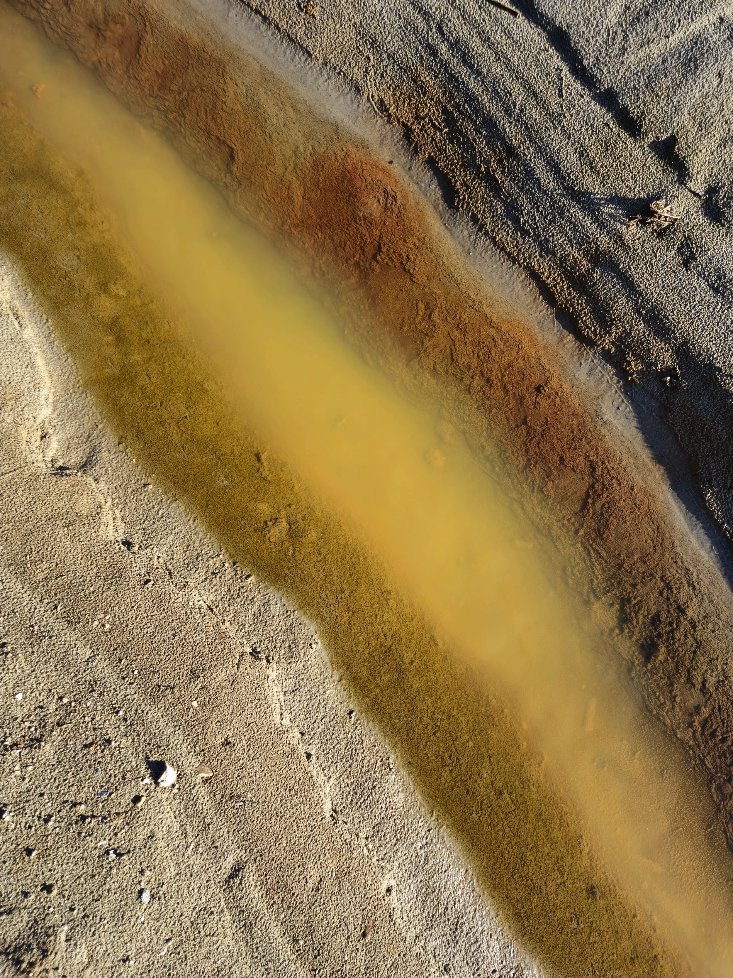 Close-up van een zandstrand met een groenachtig gele modderstroom die door het zand stroomt.