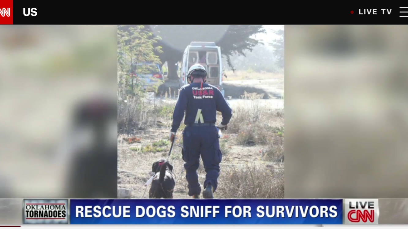 A rescue worker walking through a dry, barren landscape with a rescue dog. The worker wears a uniform that reads 'Oklahoma US&R Task Force' and a helmet. The news caption reads 'Rescue dogs sniff for survivors' with a subheading mentioning Oklahoma t