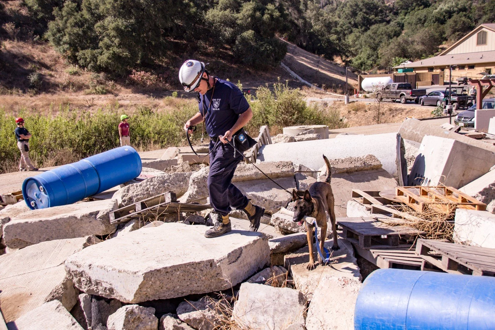 Rescue personnel and a dog at a collapsed building site with debris and construction materials.