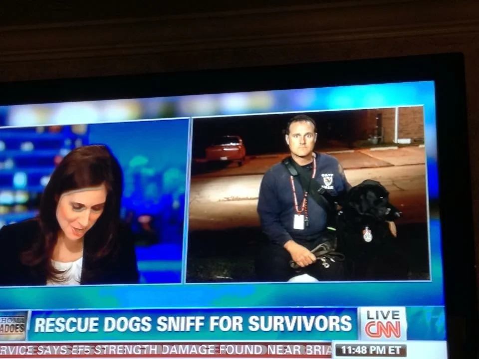 TV news broadcast showing a female anchor on the left and a male rescue worker with a dog on the right, reporting about rescue dogs sniffer for survivors, at 11:48 PM ET.