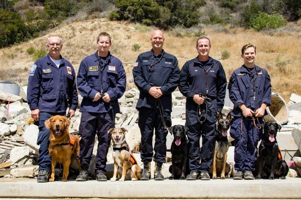 Group of five rescue workers and their five search dogs standing outdoors on a rocky, hilly terrain during daytime.